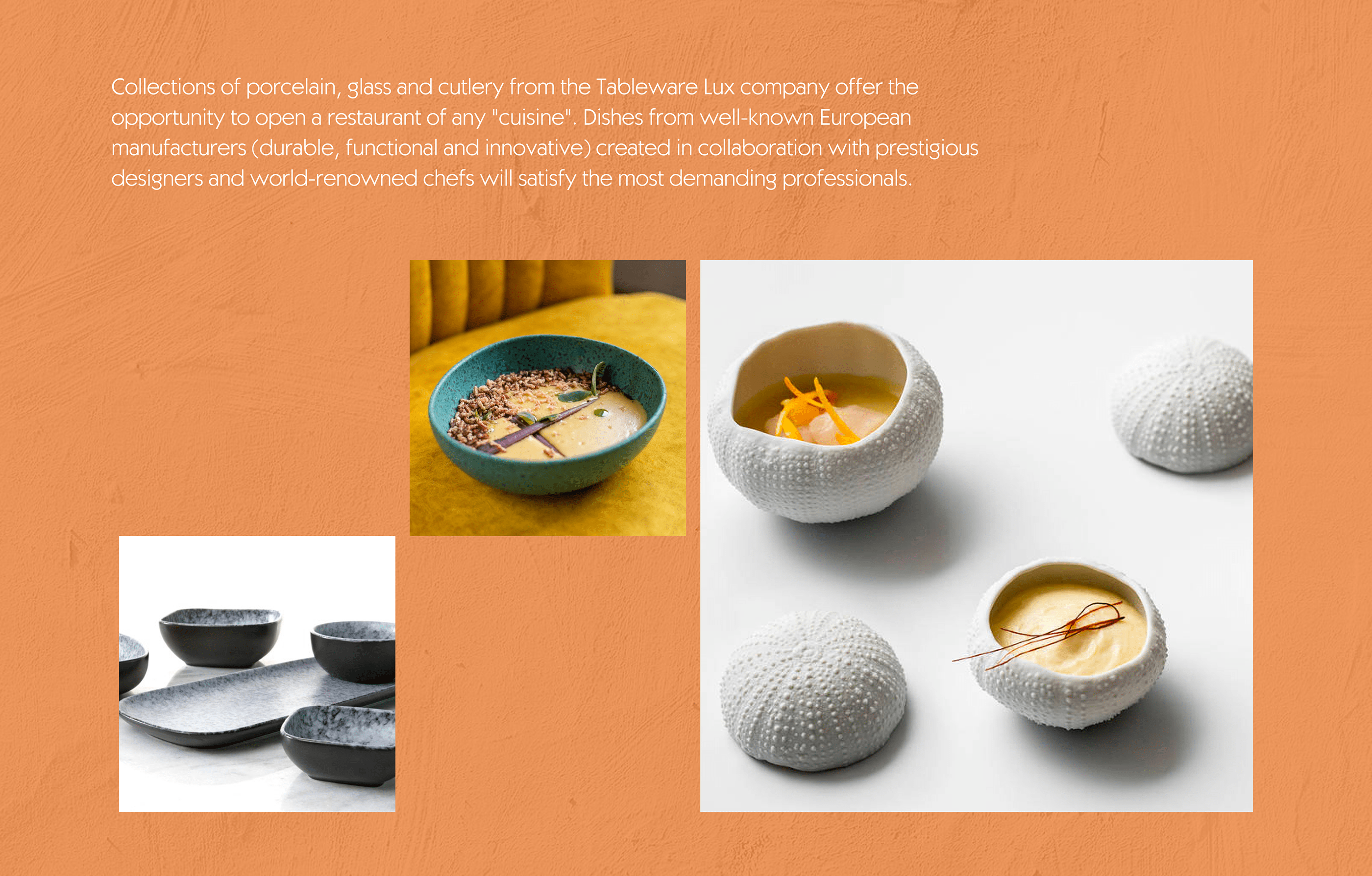 Posuda Luxe - website for dishware store — Изображение №1 — Брендинг, Интерфейсы на Dprofile