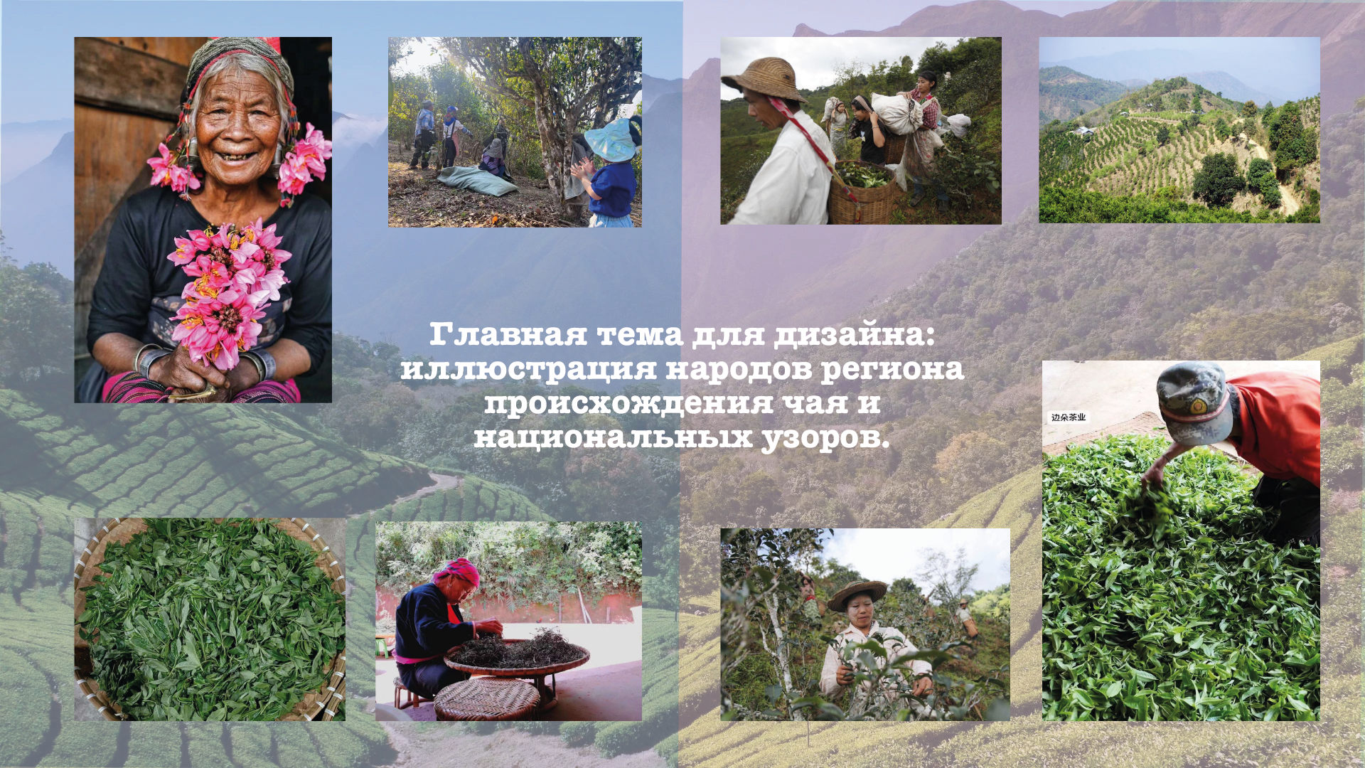 Проект для конкурса "КаЧаем дизайн" — Изображение №3 — Брендинг, Иллюстрация на Dprofile