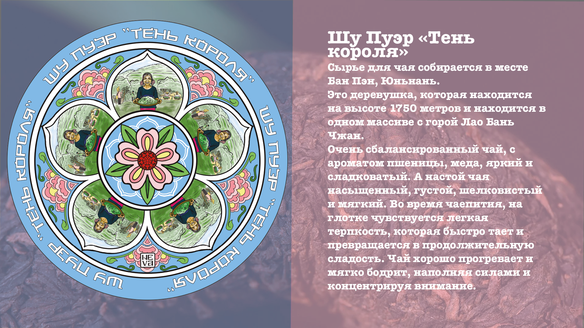Проект для конкурса "КаЧаем дизайн" — Изображение №4 — Брендинг, Иллюстрация на Dprofile