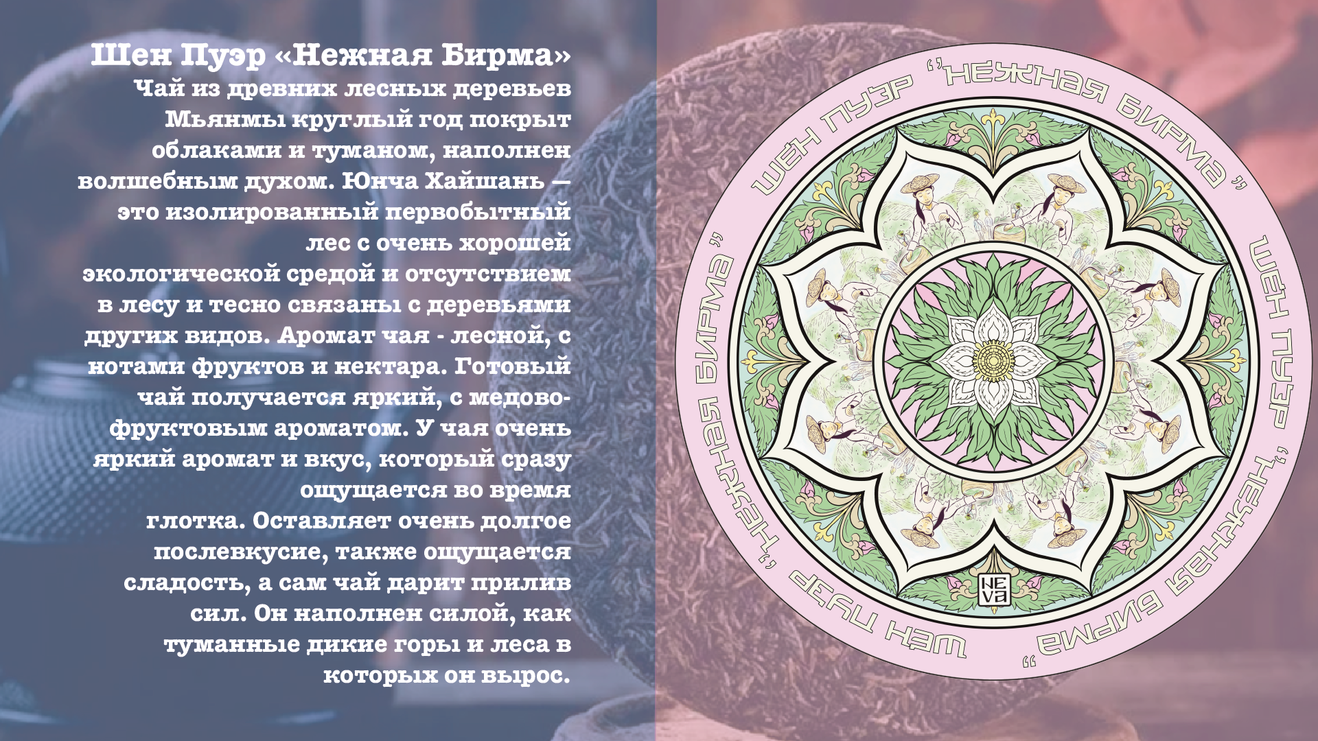 Проект для конкурса "КаЧаем дизайн" — Изображение №5 — Брендинг, Иллюстрация на Dprofile