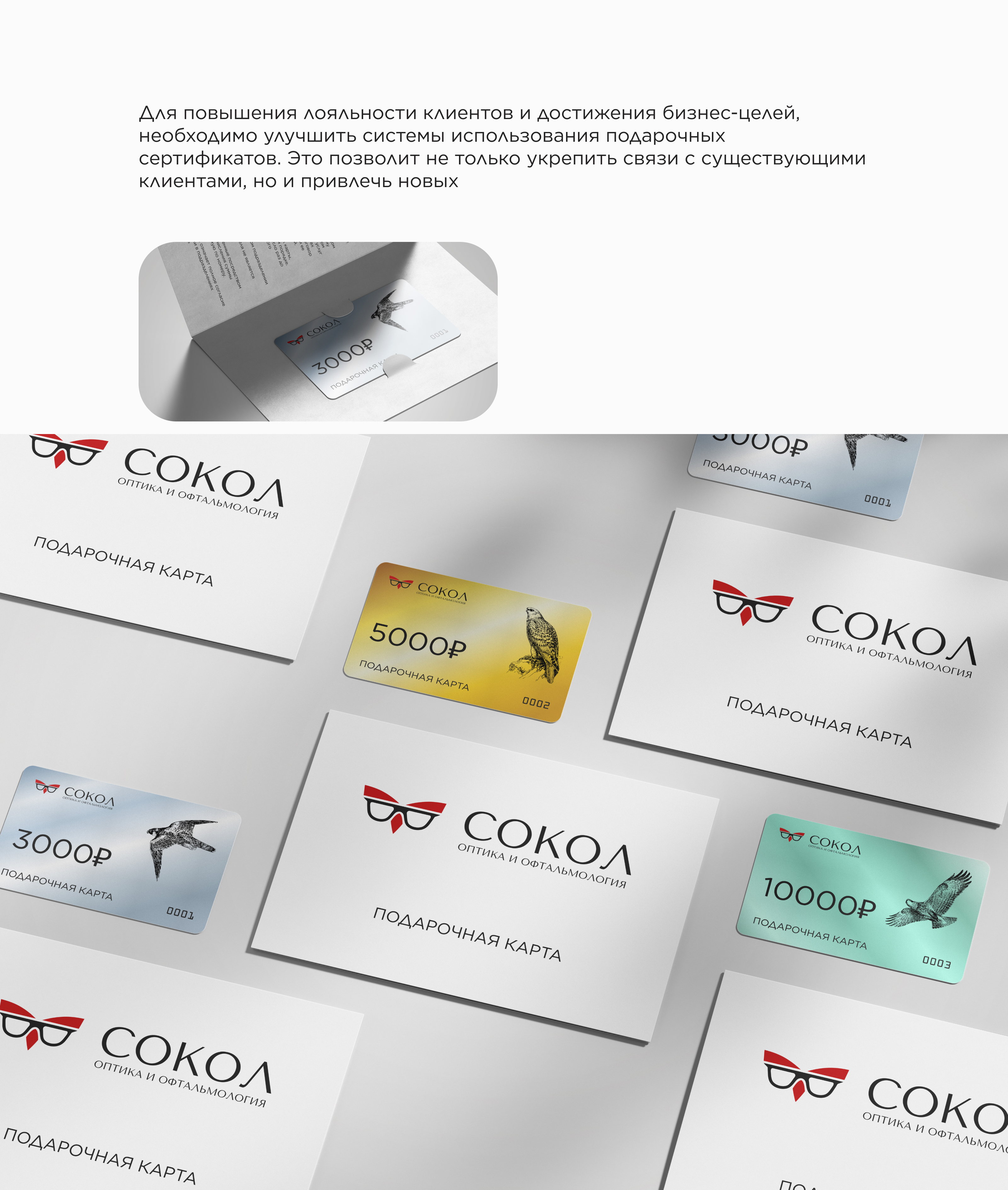ReBRAND | СОКОЛ | ОПТИКА — Изображение №10 — Брендинг на Dprofile