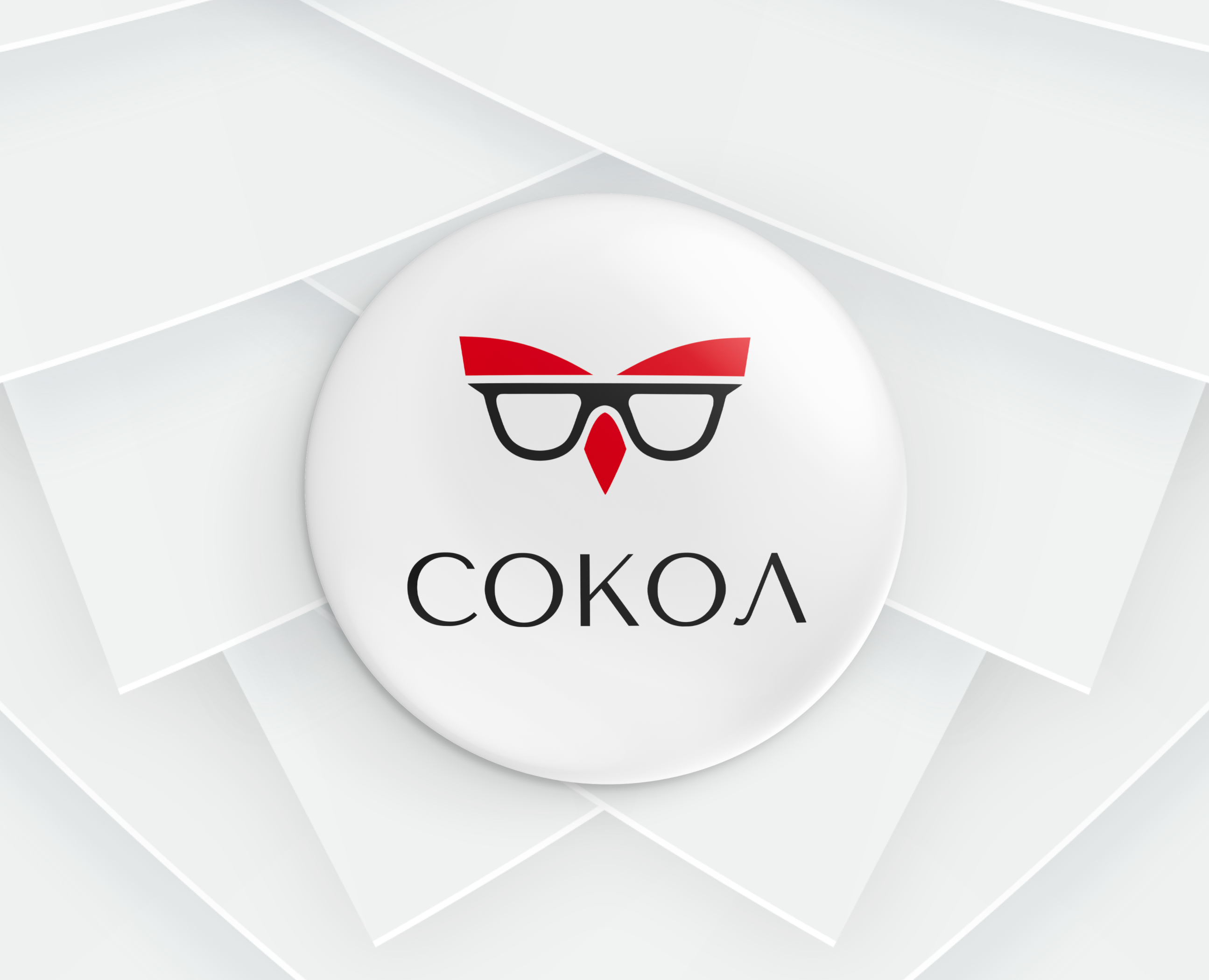 ReBRAND | СОКОЛ | ОПТИКА на Dprofile
