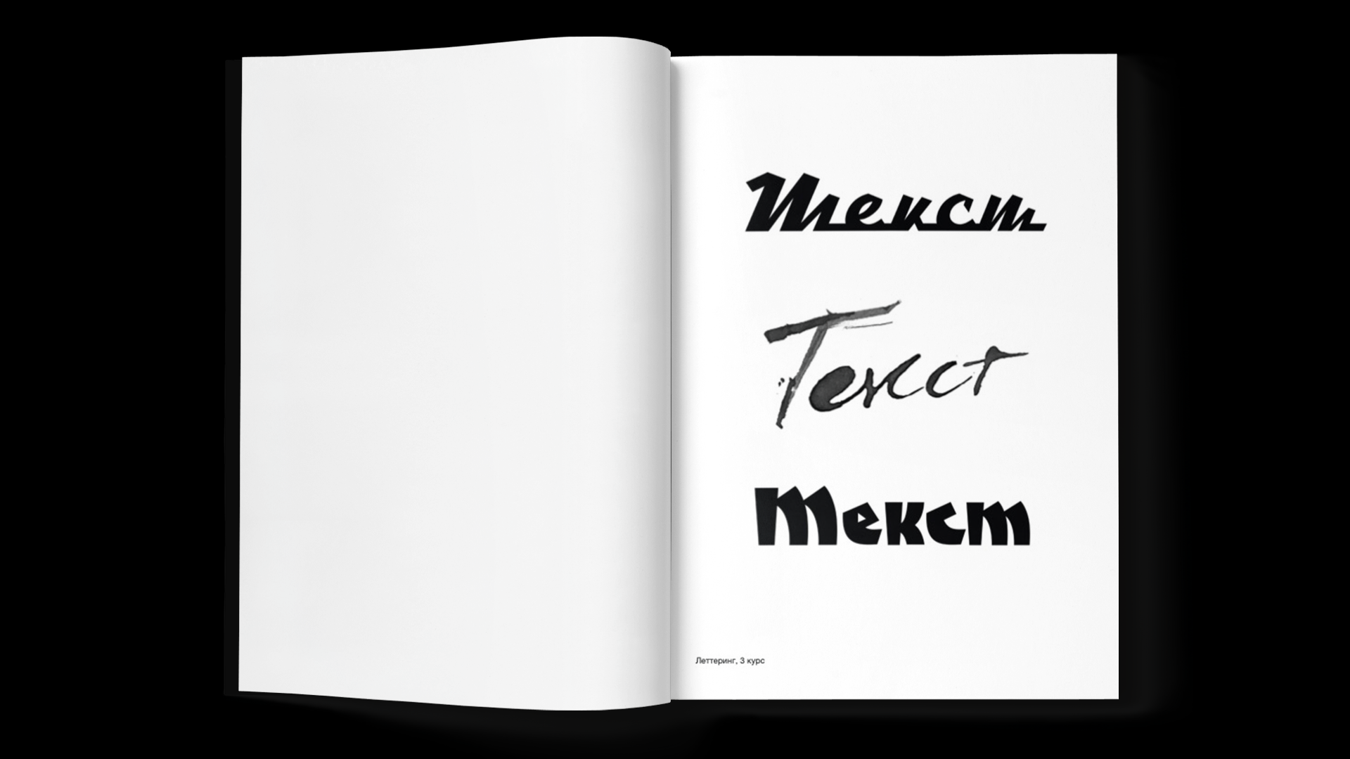 ПОРТФОЛИО-ШОУРИЛ — Изображение №2 — Графика, Анимация на Dprofile