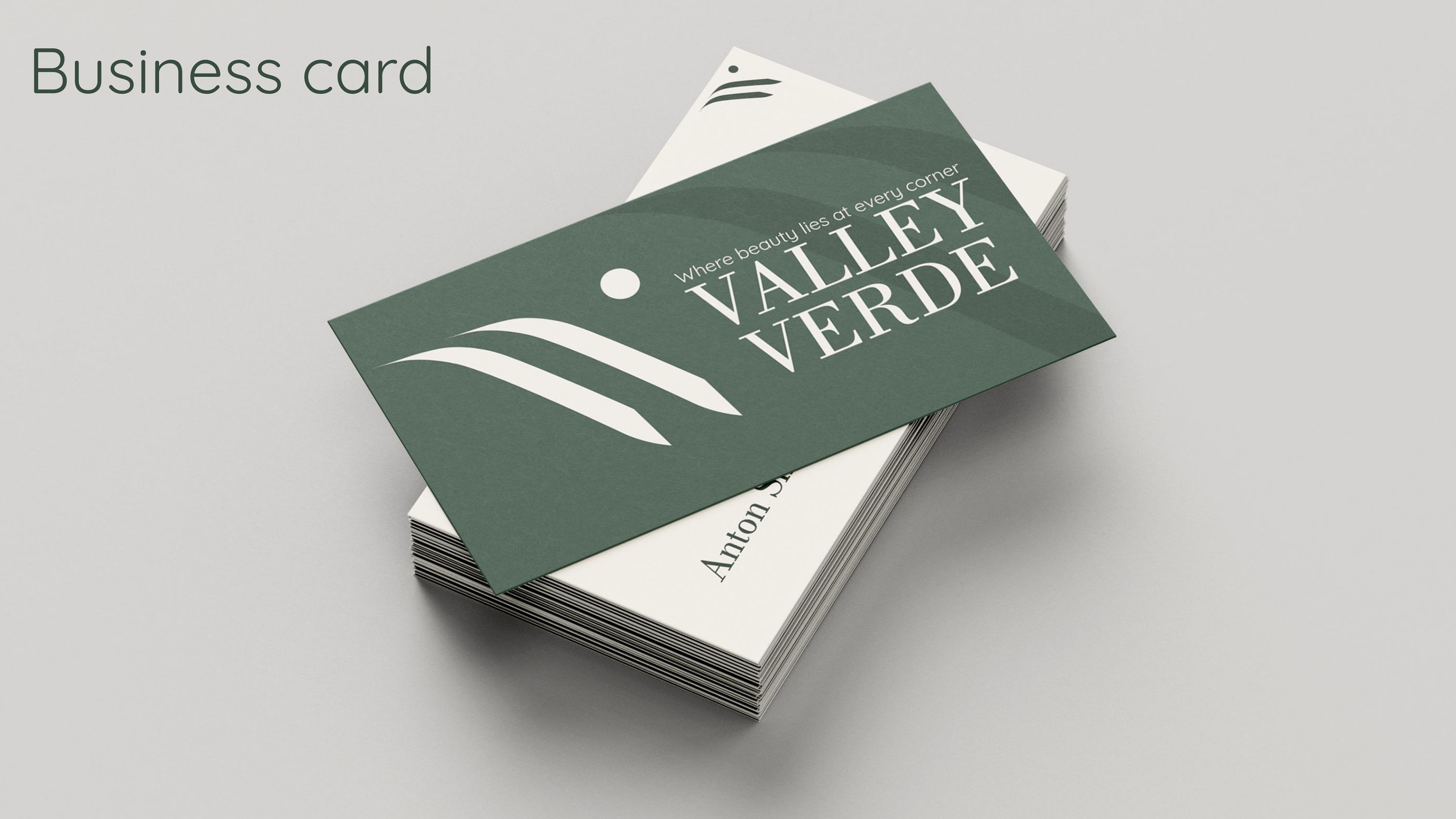 Брендбук для Valley Verse — Изображение №11 — Брендинг, Графика на Dprofile