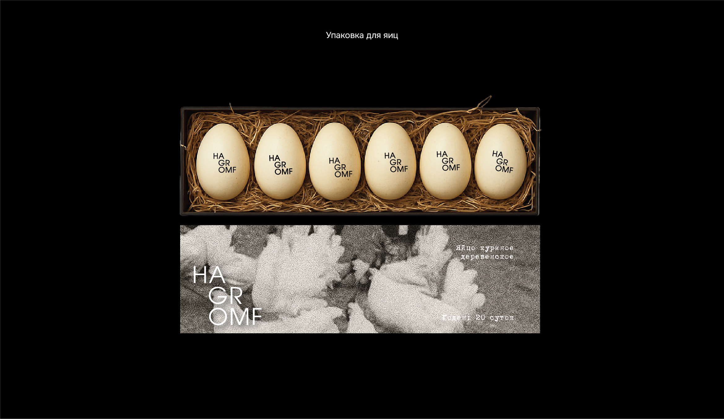 Hagromf | Brand identity — Изображение №5 — Брендинг на Dprofile