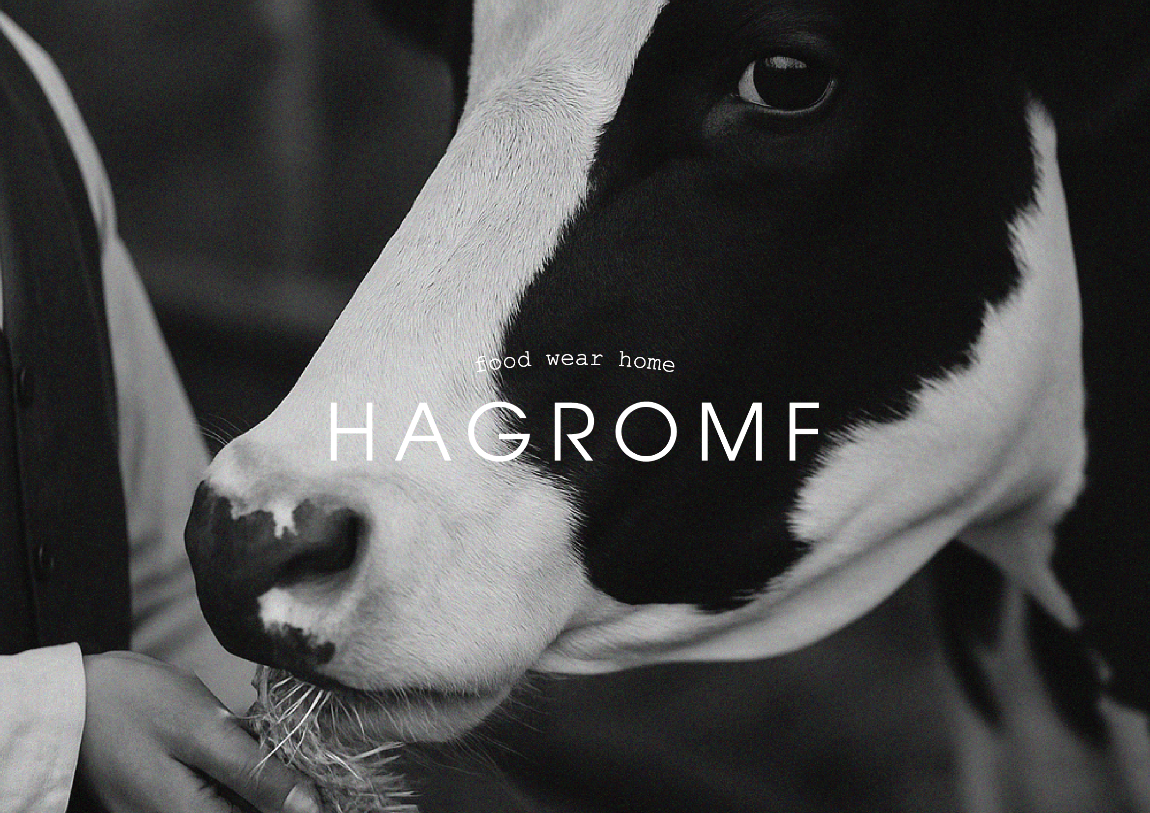 Hagromf | Brand identity — Изображение №1 — Брендинг на Dprofile