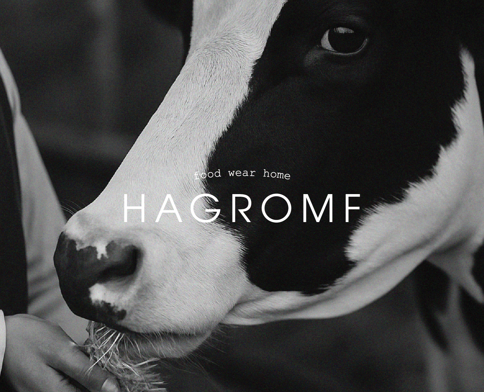 Hagromf | Brand identity на Dprofile
