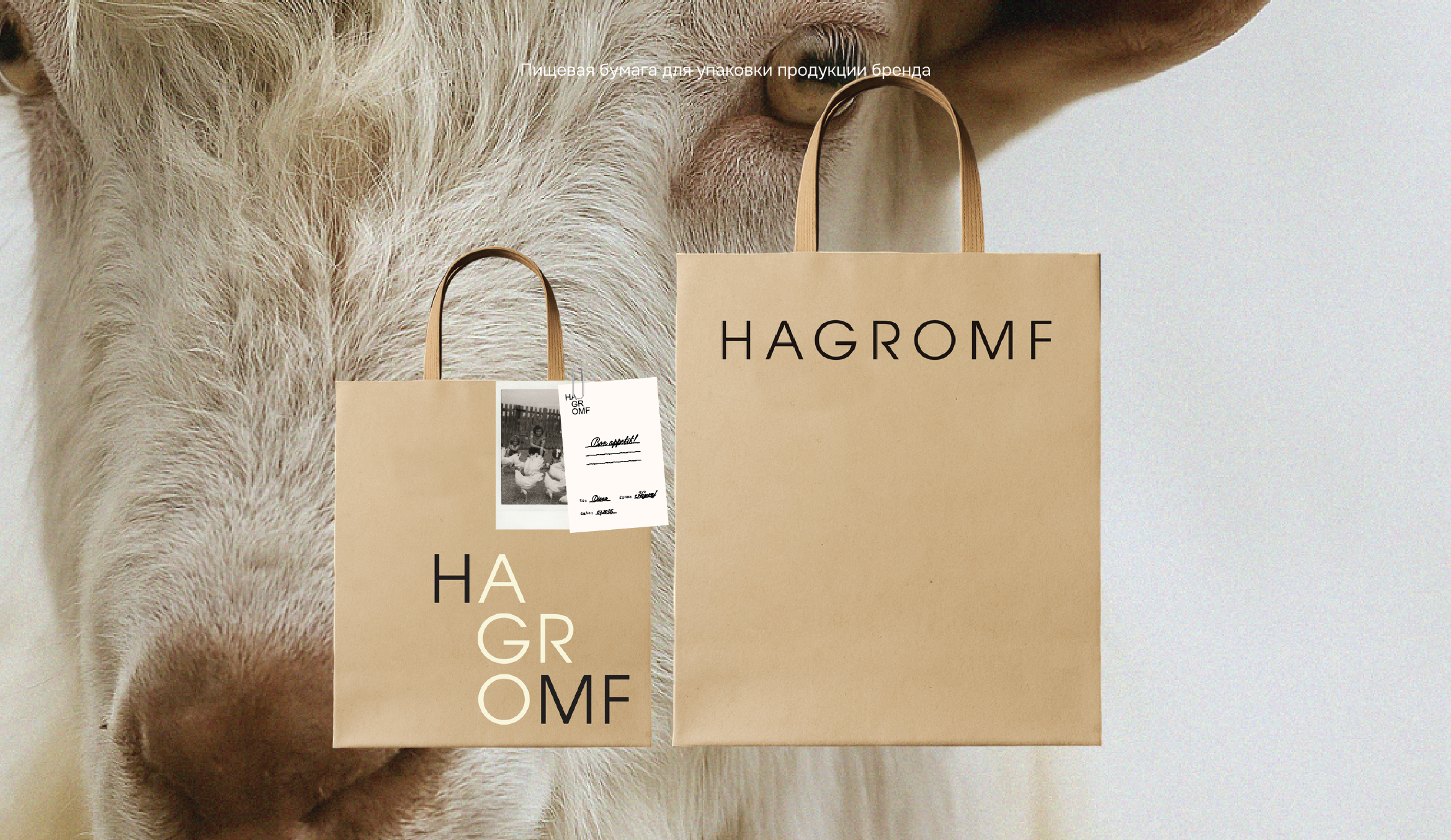 Hagromf | Brand identity — Изображение №9 — Брендинг на Dprofile
