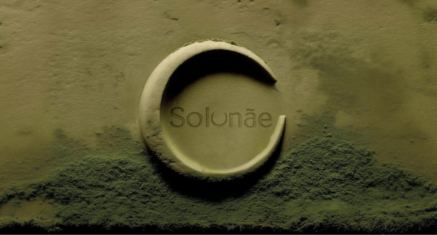 SOLUNAE IDENTITY | WELLNESS | BRANDING — Изображение №1 — Брендинг на Dprofile