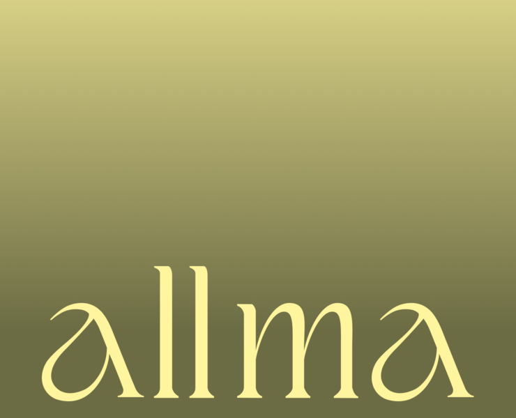 BRANDING ALLMA — Брендинг на Dprofile