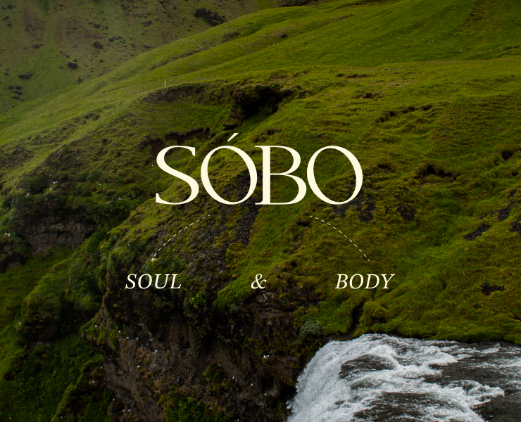 SOBO - SPA&WELLNESS — Брендинг на Dprofile