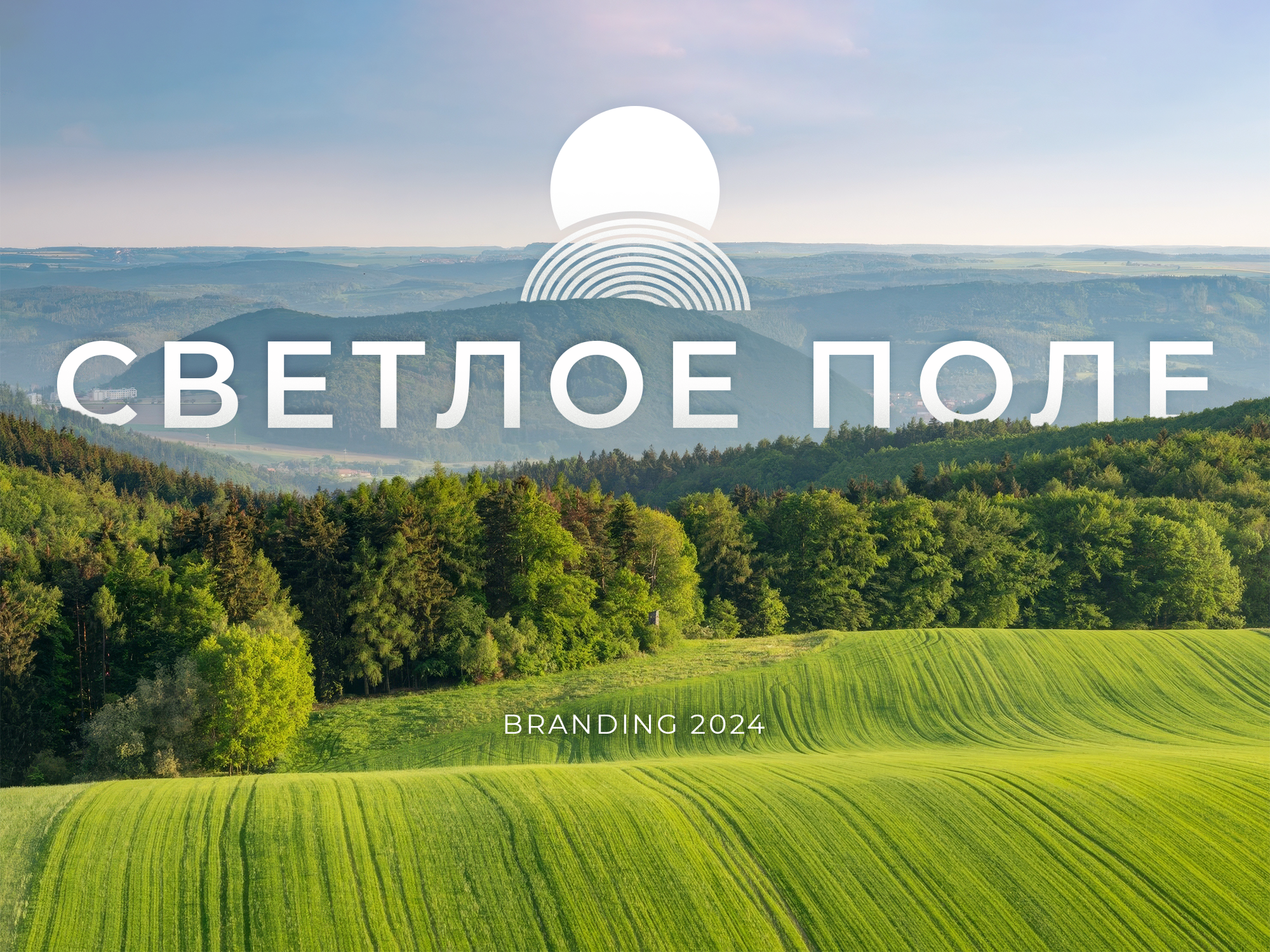 Светлое поле | Logotype | Branding | Package — Изображение №1 — Брендинг, Маркетинг на Dprofile