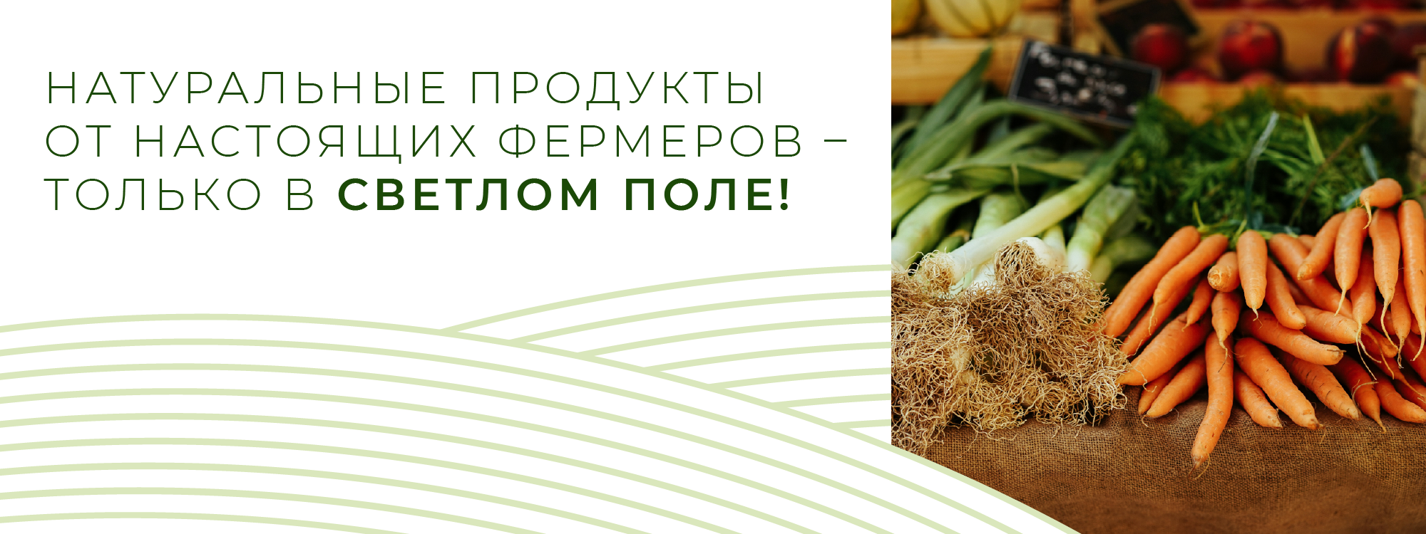 Светлое поле | Logotype | Branding | Package — Изображение №7 — Брендинг, Маркетинг на Dprofile