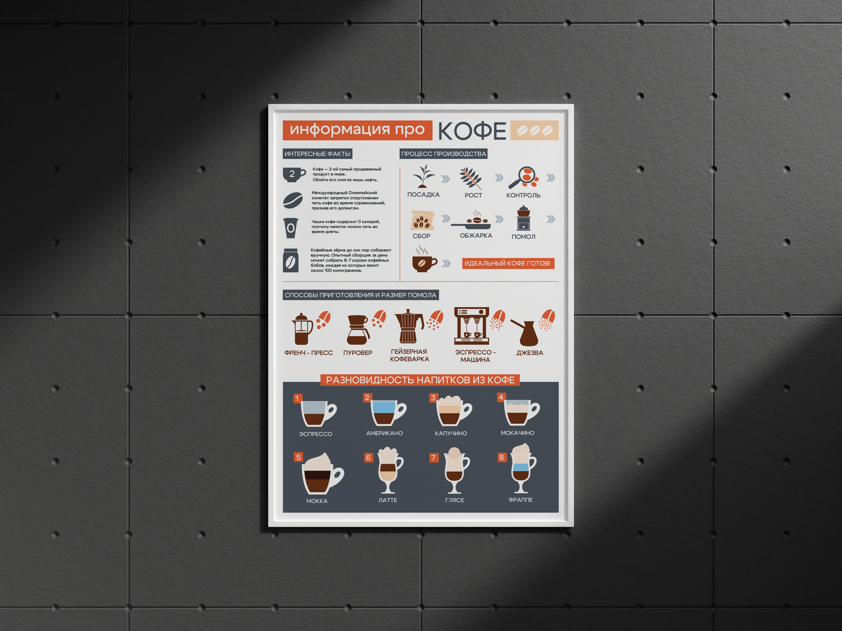 Инфографика о разновидности кофе — Изображение №1 — Иллюстрация, Графика на Dprofile