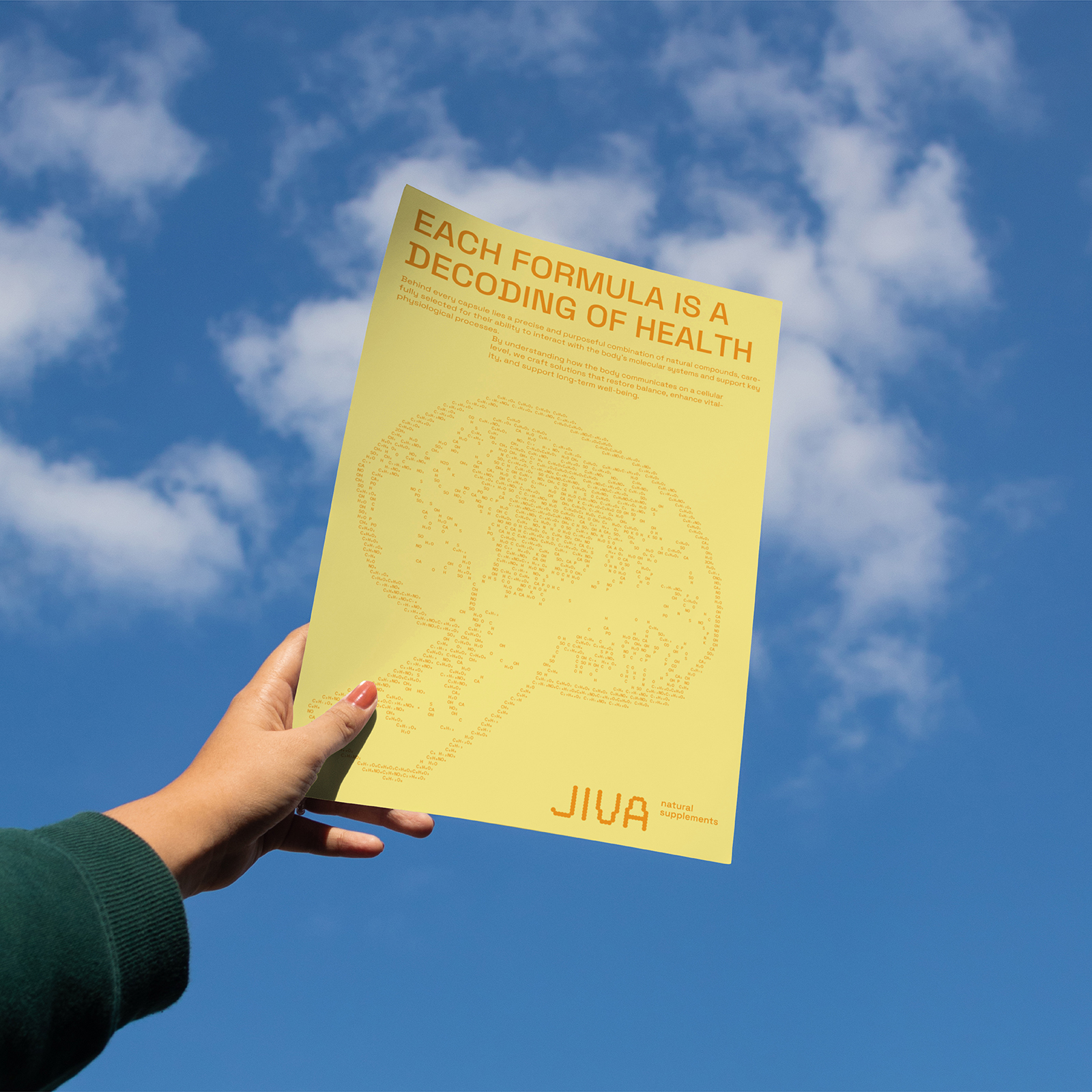 JIVA |Фирменный стиль для бренда бадов — Изображение №1 — Брендинг, Графика на Dprofile