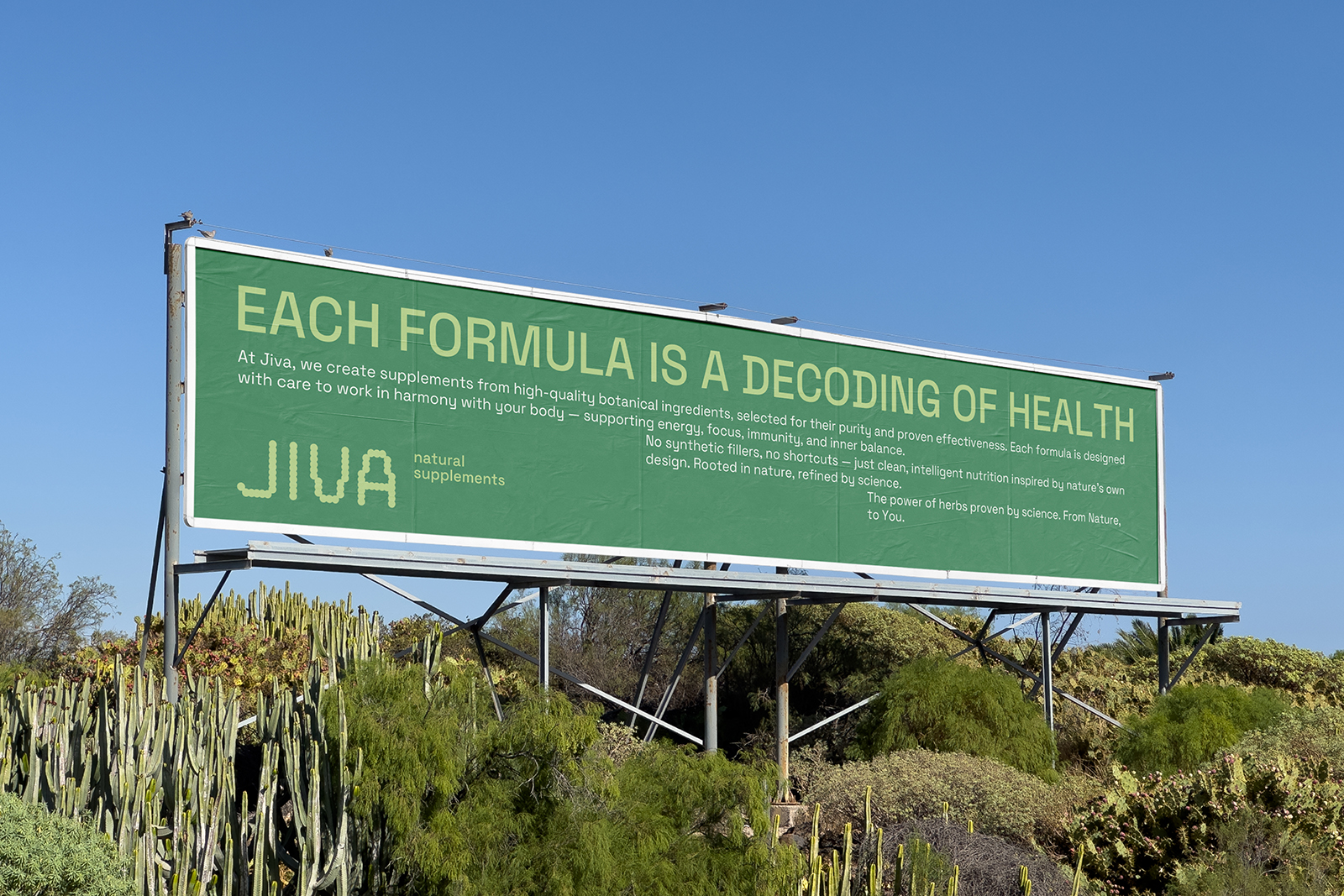 JIVA |Фирменный стиль для бренда бадов — Изображение №3 — Брендинг, Графика на Dprofile