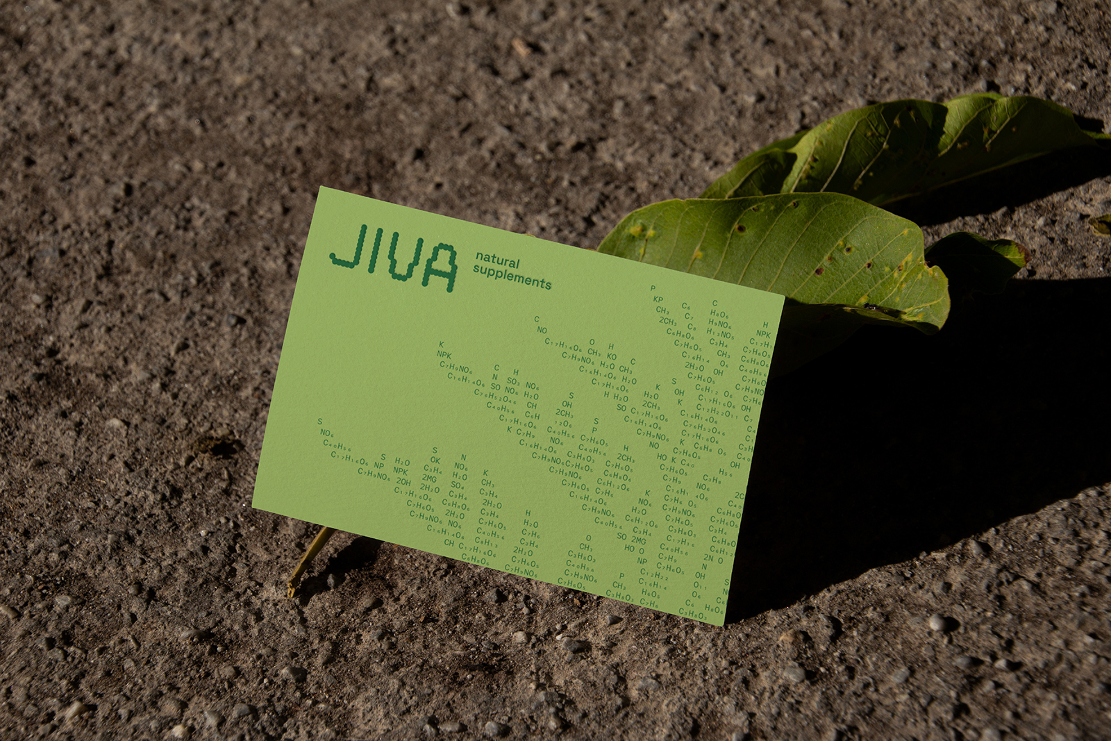 JIVA |Фирменный стиль для бренда бадов — Изображение №5 — Брендинг, Графика на Dprofile