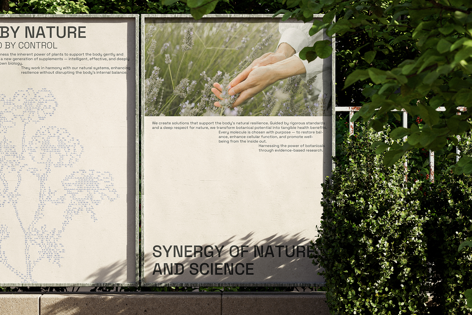 JIVA |Фирменный стиль для бренда бадов — Изображение №6 — Брендинг, Графика на Dprofile