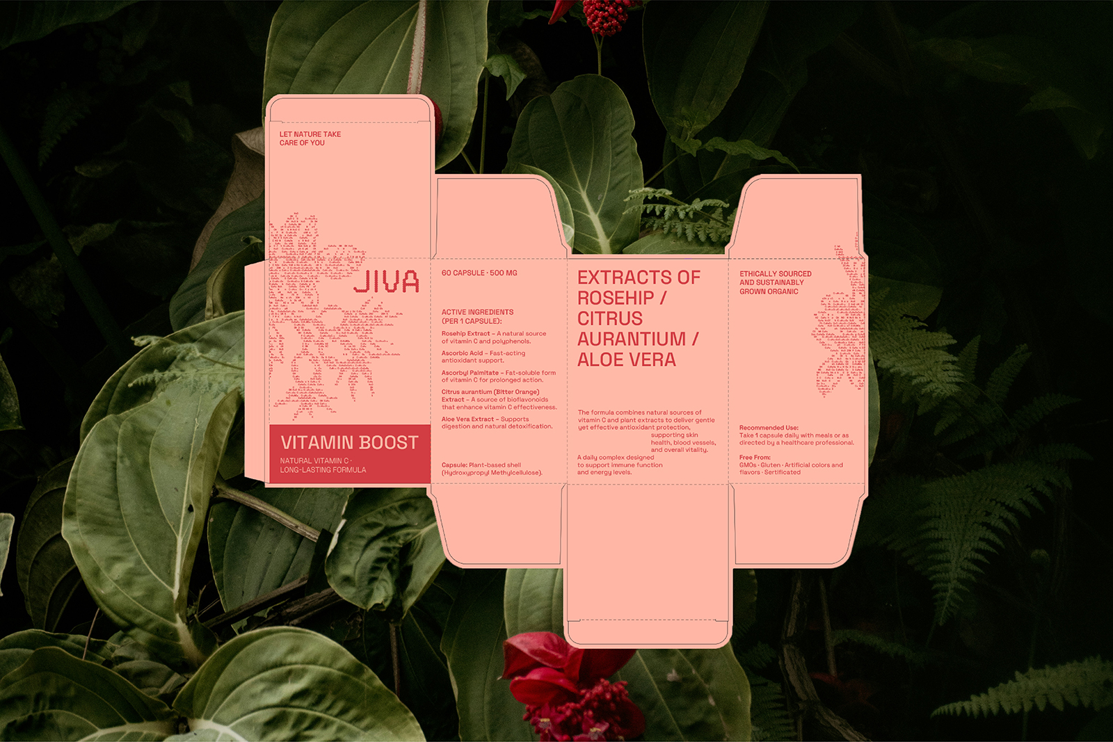 JIVA |Фирменный стиль для бренда бадов — Изображение №7 — Брендинг, Графика на Dprofile