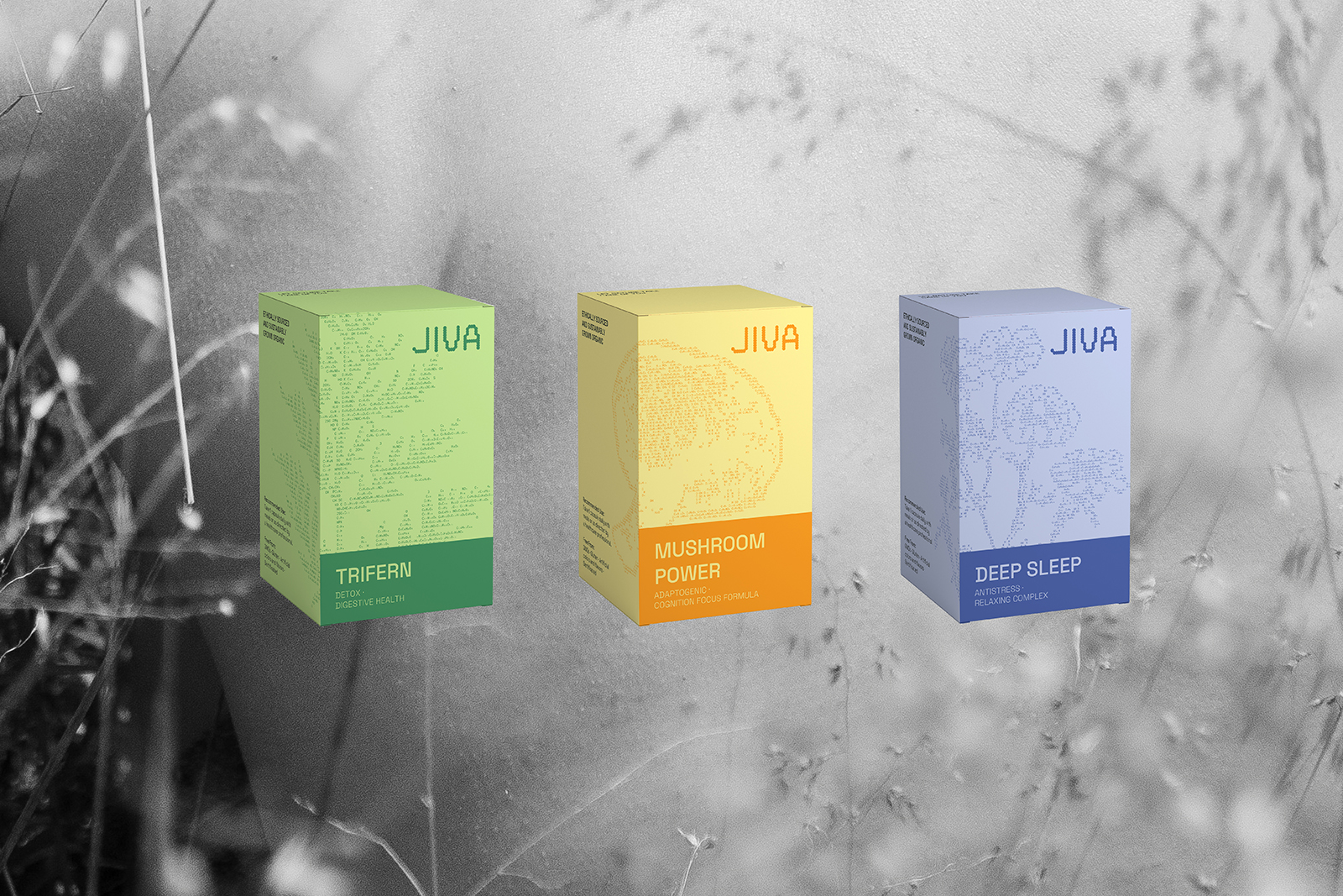 JIVA |Фирменный стиль для бренда бадов — Изображение №9 — Брендинг, Графика на Dprofile