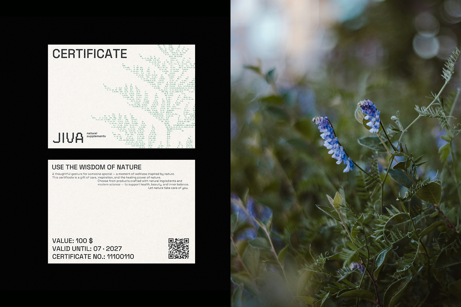 JIVA |Фирменный стиль для бренда бадов — Изображение №10 — Брендинг, Графика на Dprofile