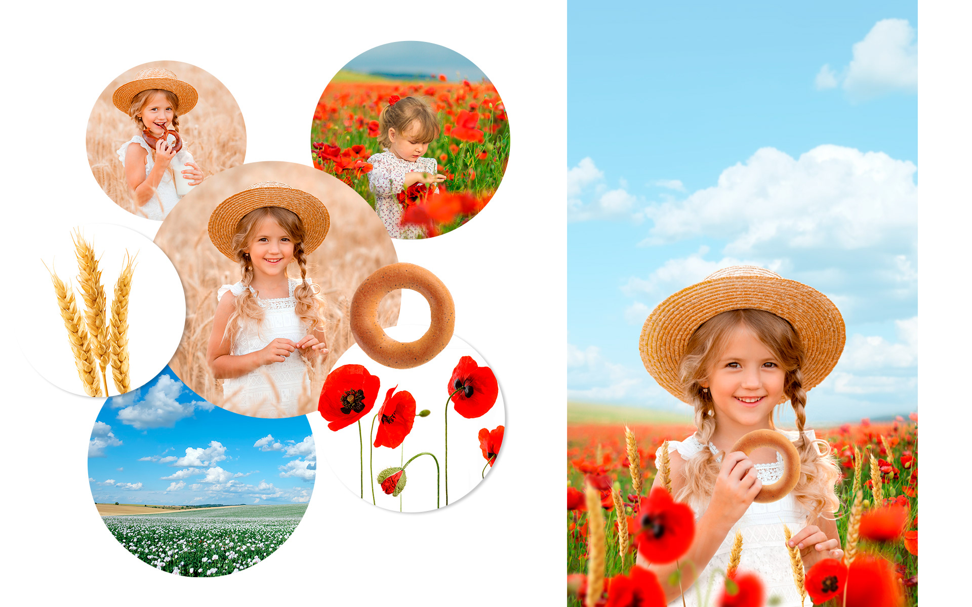 Упаковка. Владхлеб. Бублик — Изображение №3 — Брендинг, Графика на Dprofile