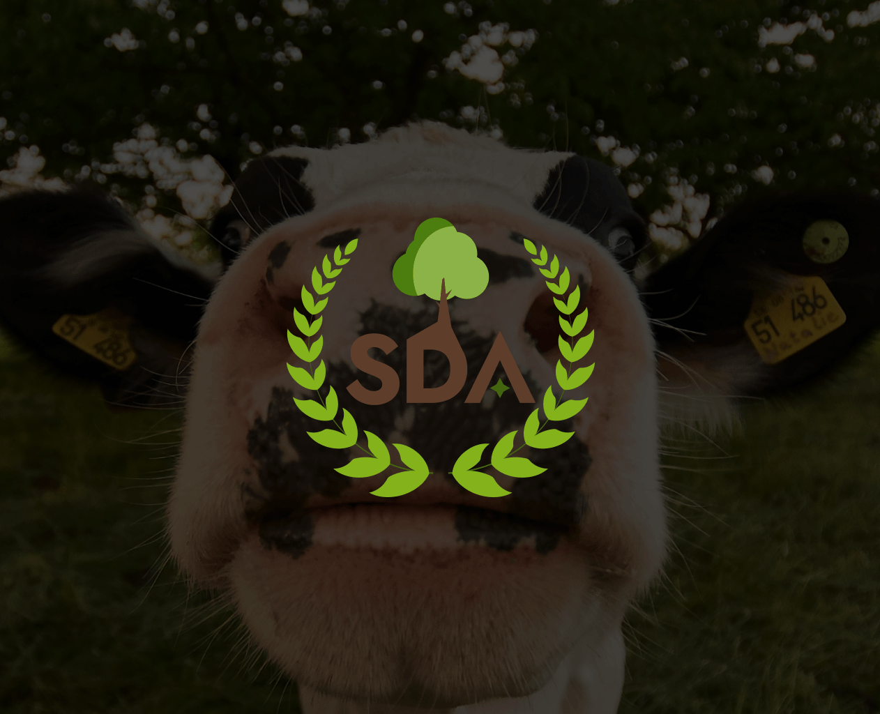 SDA на Dprofile