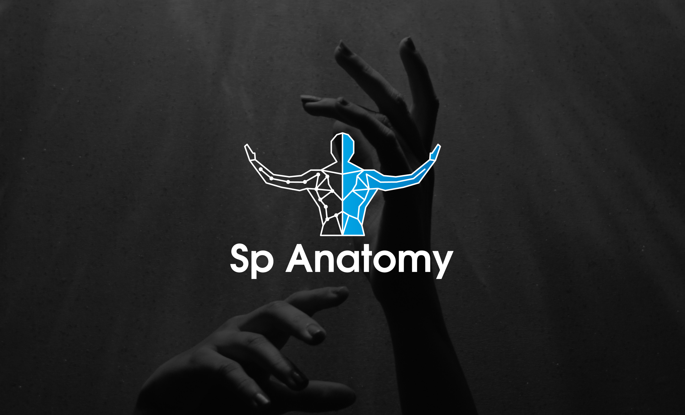 Sp Anatomy — Изображение №5 — Брендинг на Dprofile