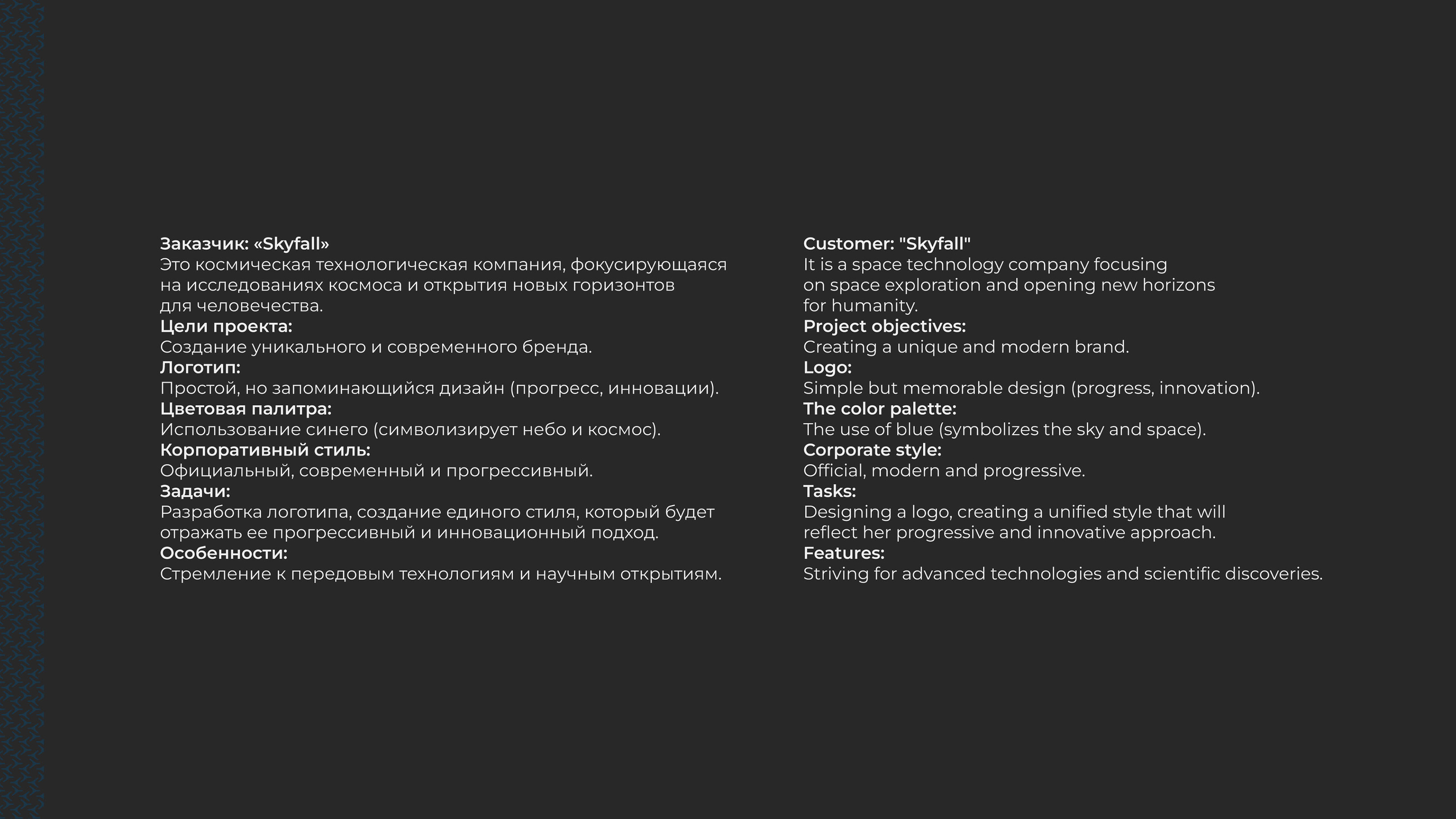 Brand identity of Skyfall — Изображение №2 — Брендинг на Dprofile