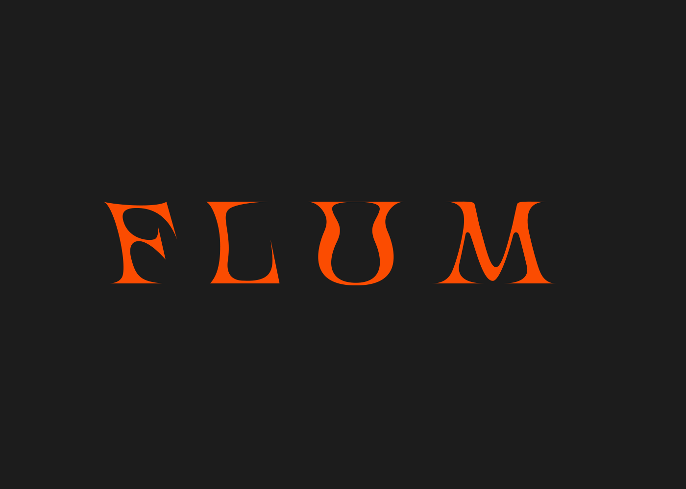 FLUM | CLOTHING BRAND IDENTITY | БРЕНДИНГ — Изображение №3 — Брендинг на Dprofile