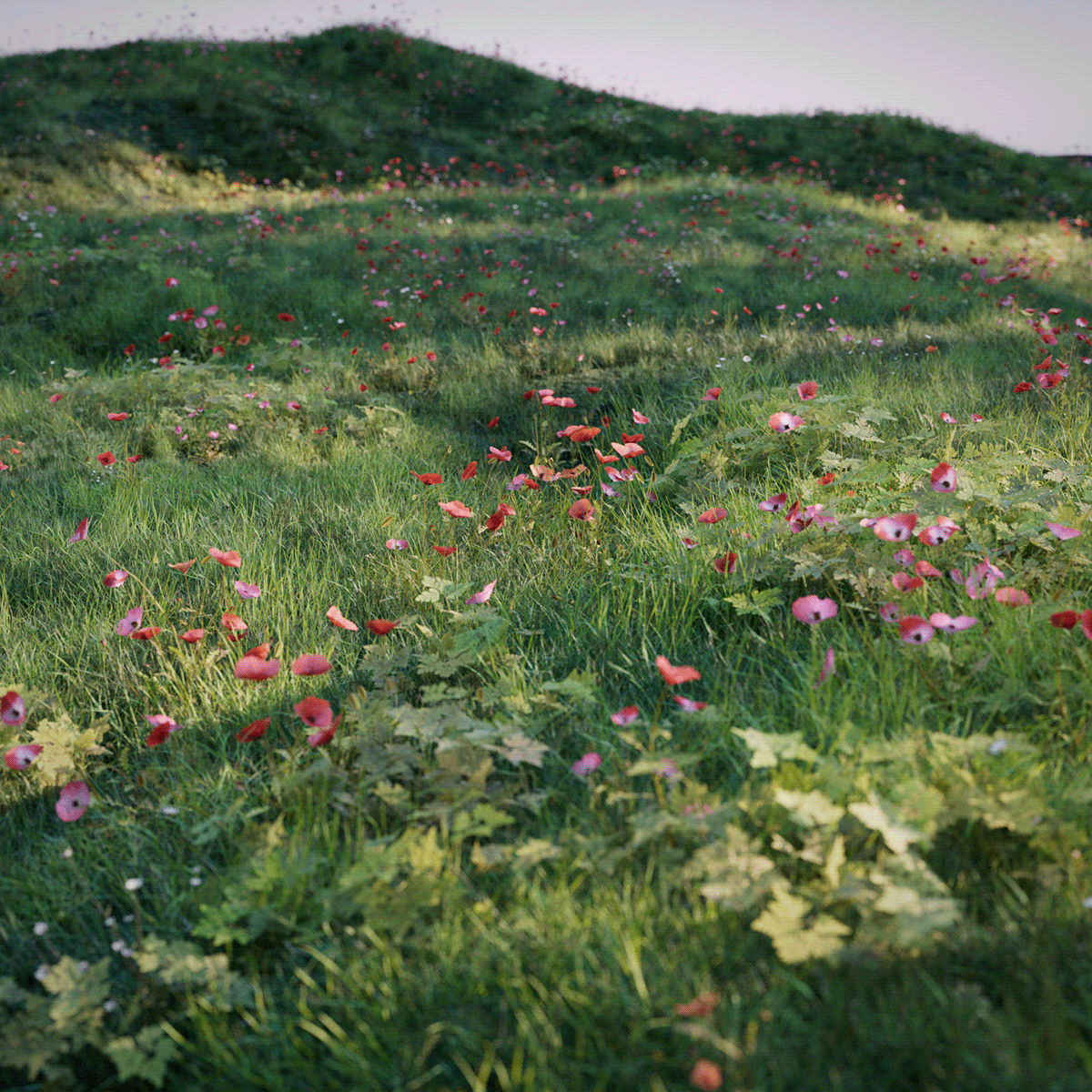 Teplica — Изображение №8 — Иллюстрация, 3D на Dprofile