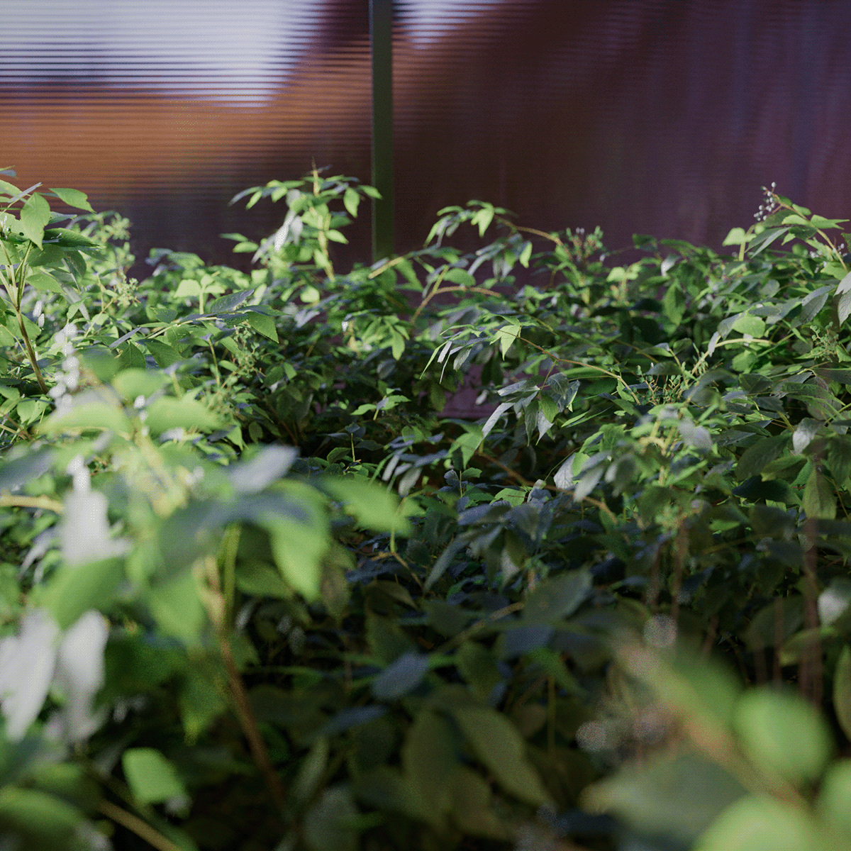 Teplica — Изображение №13 — Иллюстрация, 3D на Dprofile