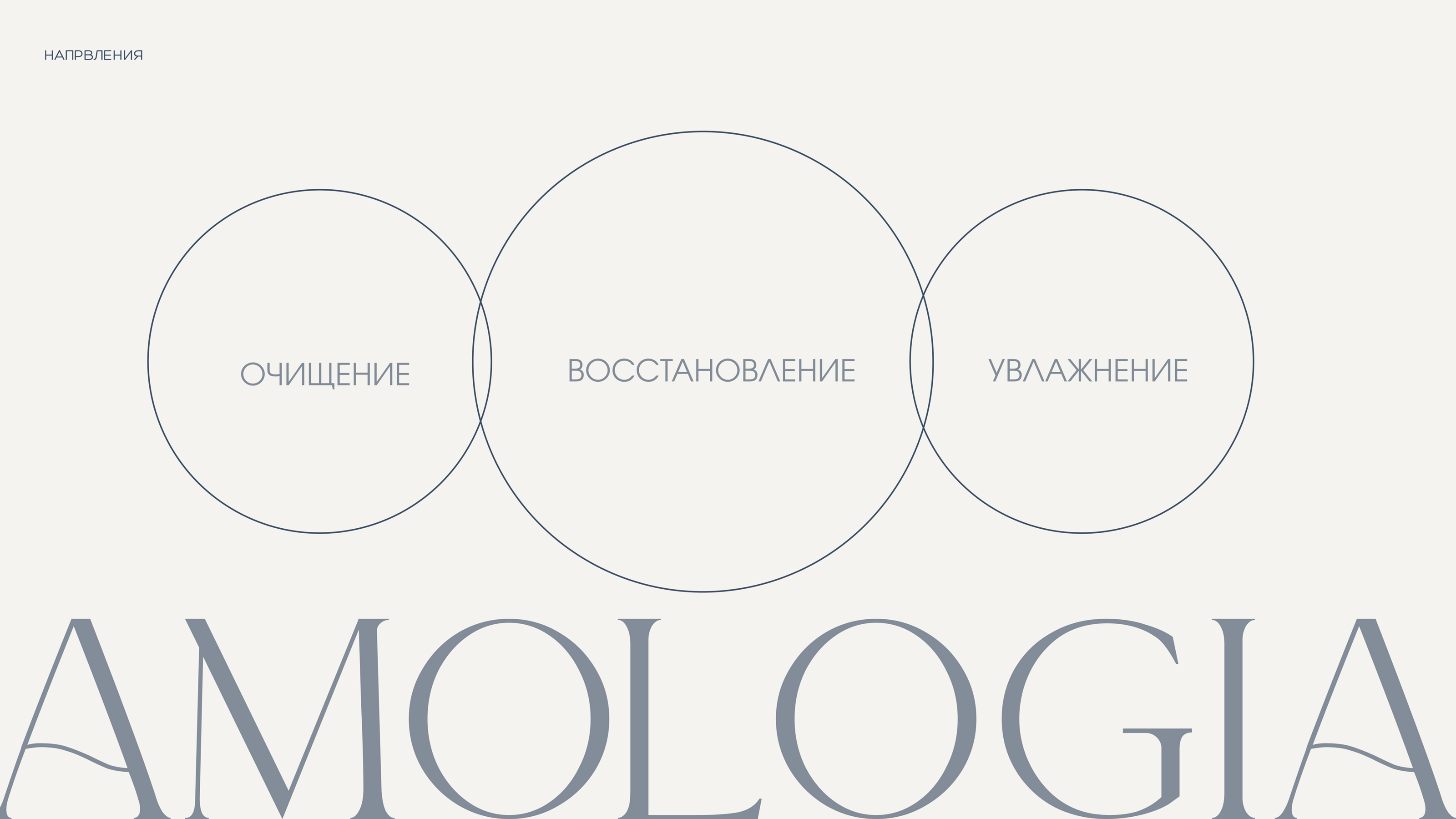 amologia - бренд уходовой косметики — Изображение №18 — Брендинг на Dprofile
