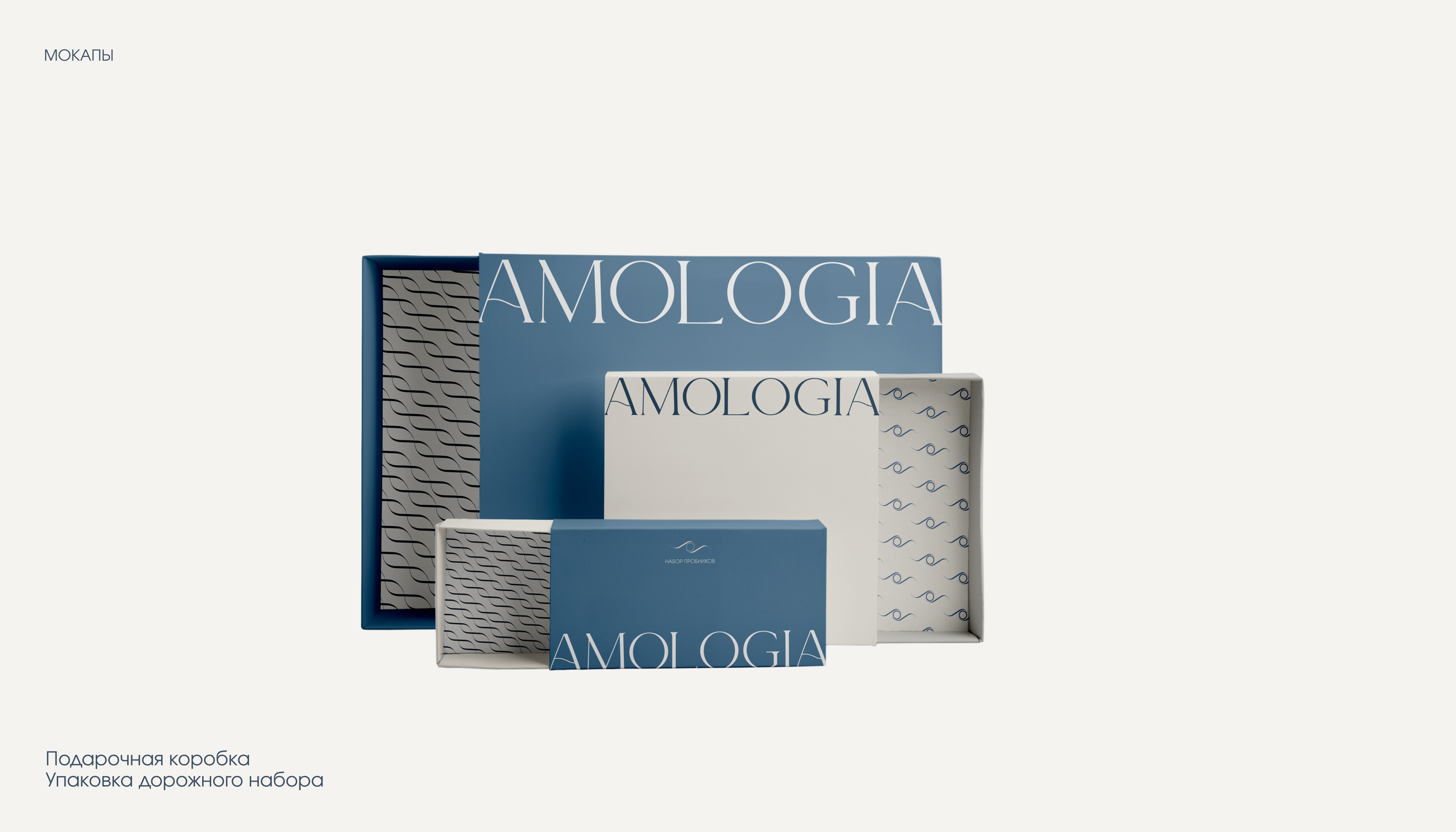 amologia - бренд уходовой косметики — Изображение №28 — Брендинг на Dprofile