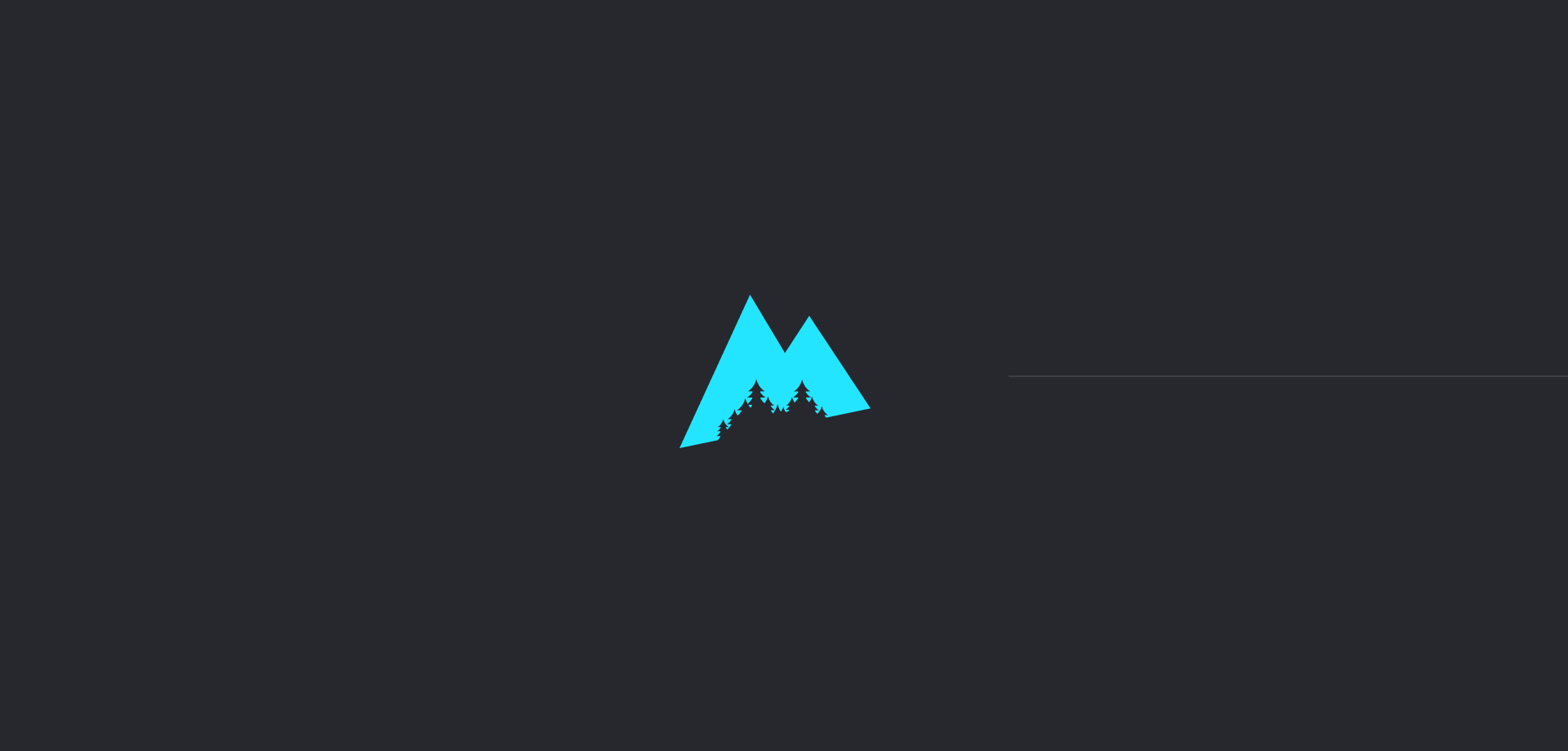 some logo — Изображение №2 — Брендинг, Графика на Dprofile