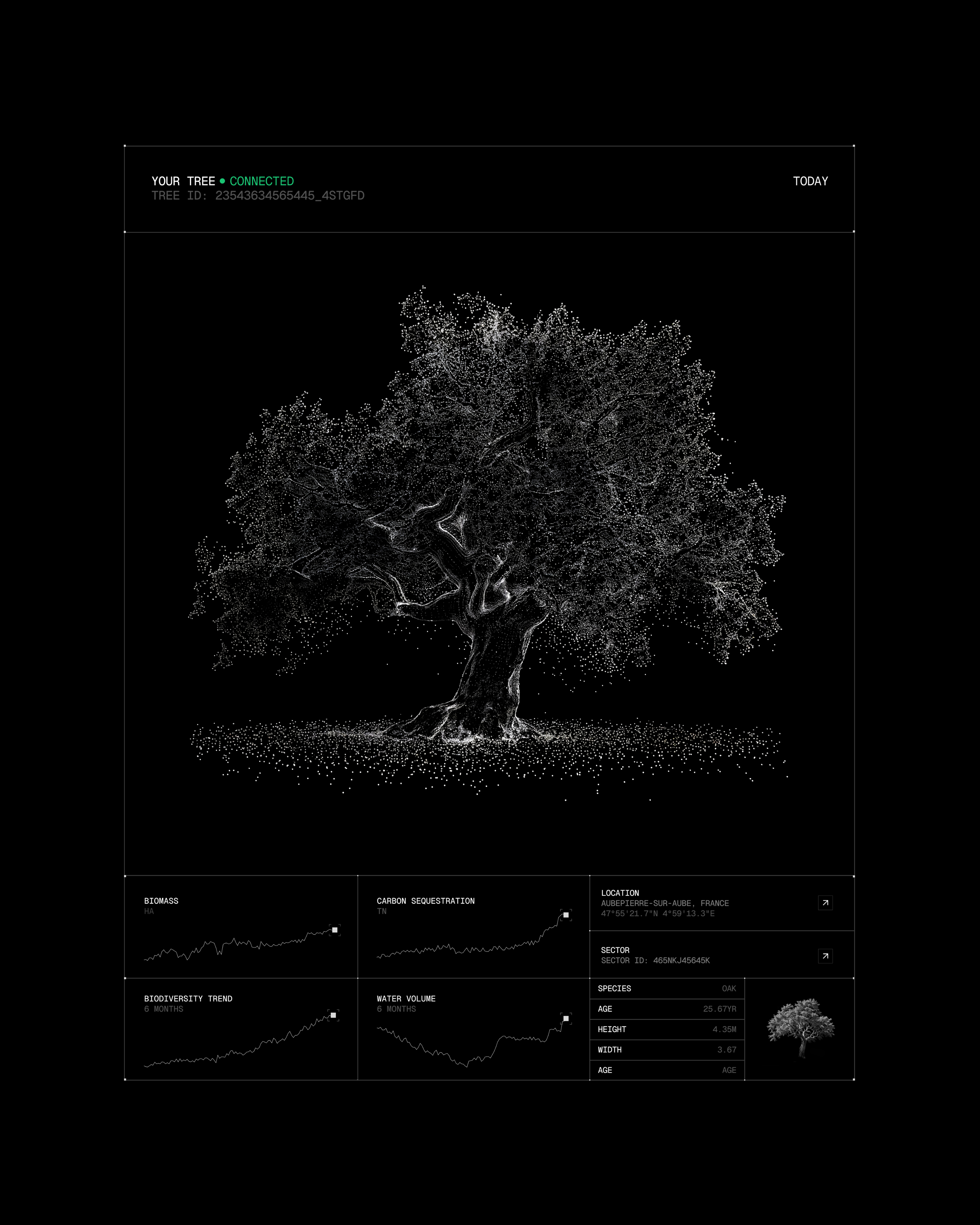 Future Forest — Изображение №3 — Брендинг, Графика на Dprofile