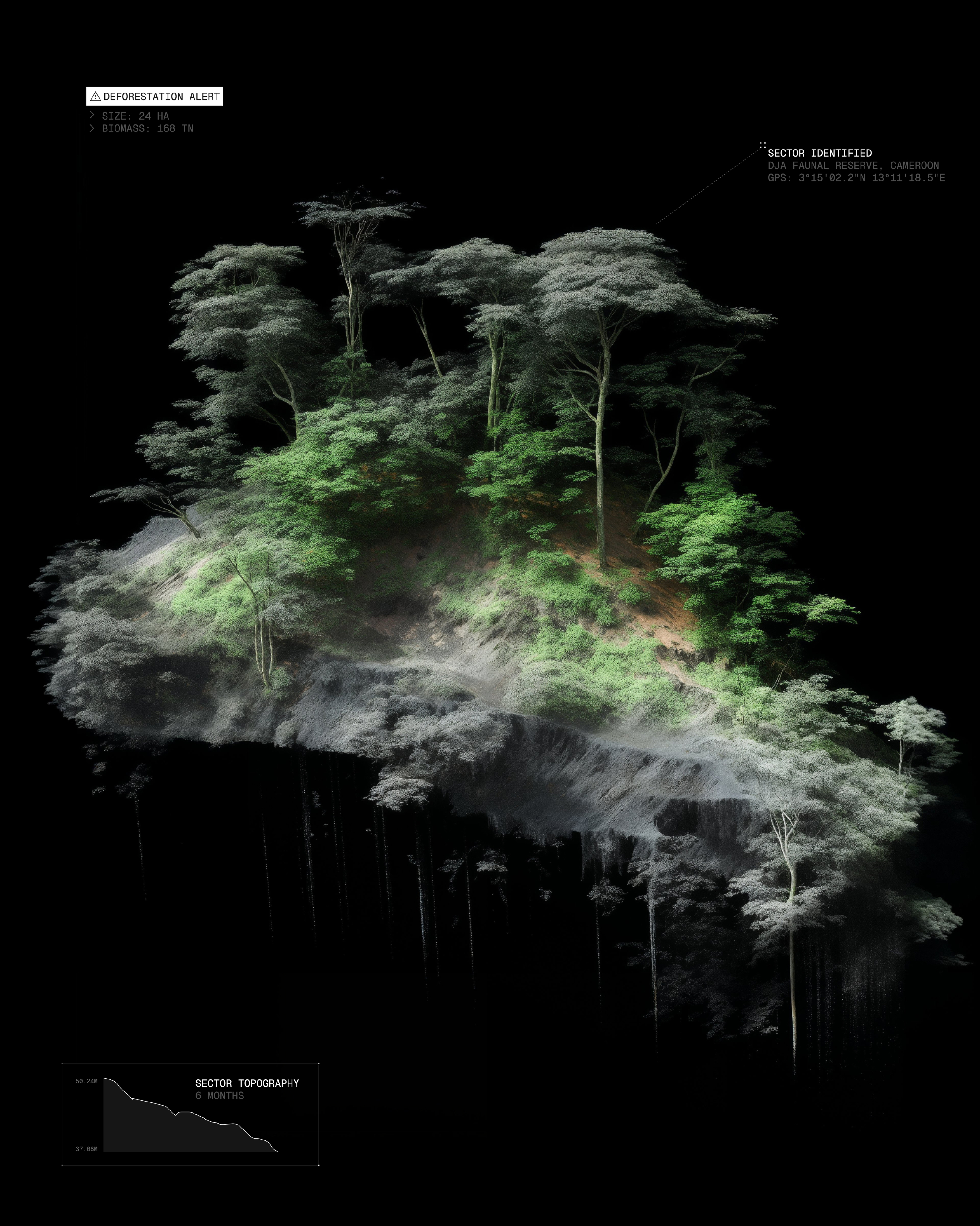 Future Forest — Изображение №4 — Брендинг, Графика на Dprofile