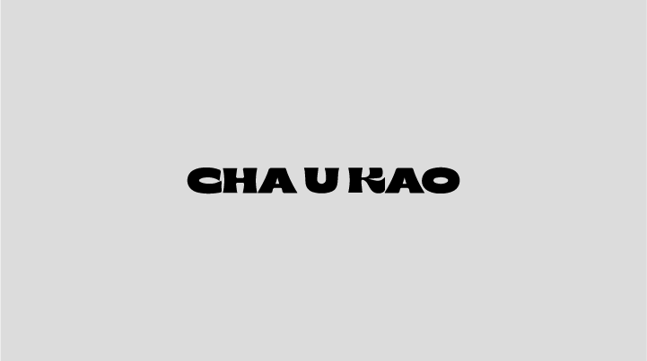 Конкурсная работа CHA U KAO — Изображение №13 — Интерфейсы, Брендинг, Графика на Dprofile
