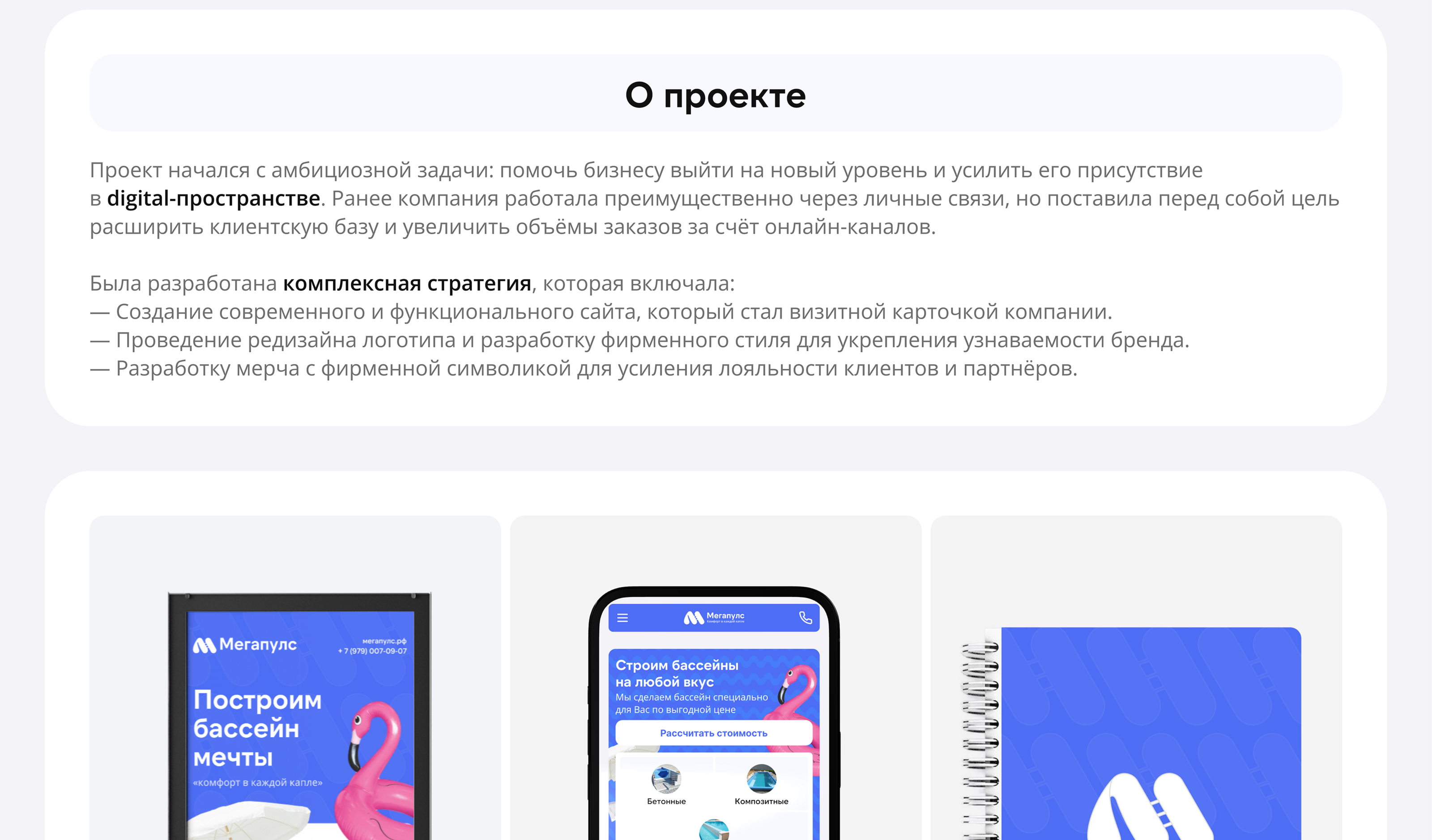 Мегапулс - компания по продаже бассейнов и оборудования — Изображение №2 — Интерфейсы, Брендинг на Dprofile