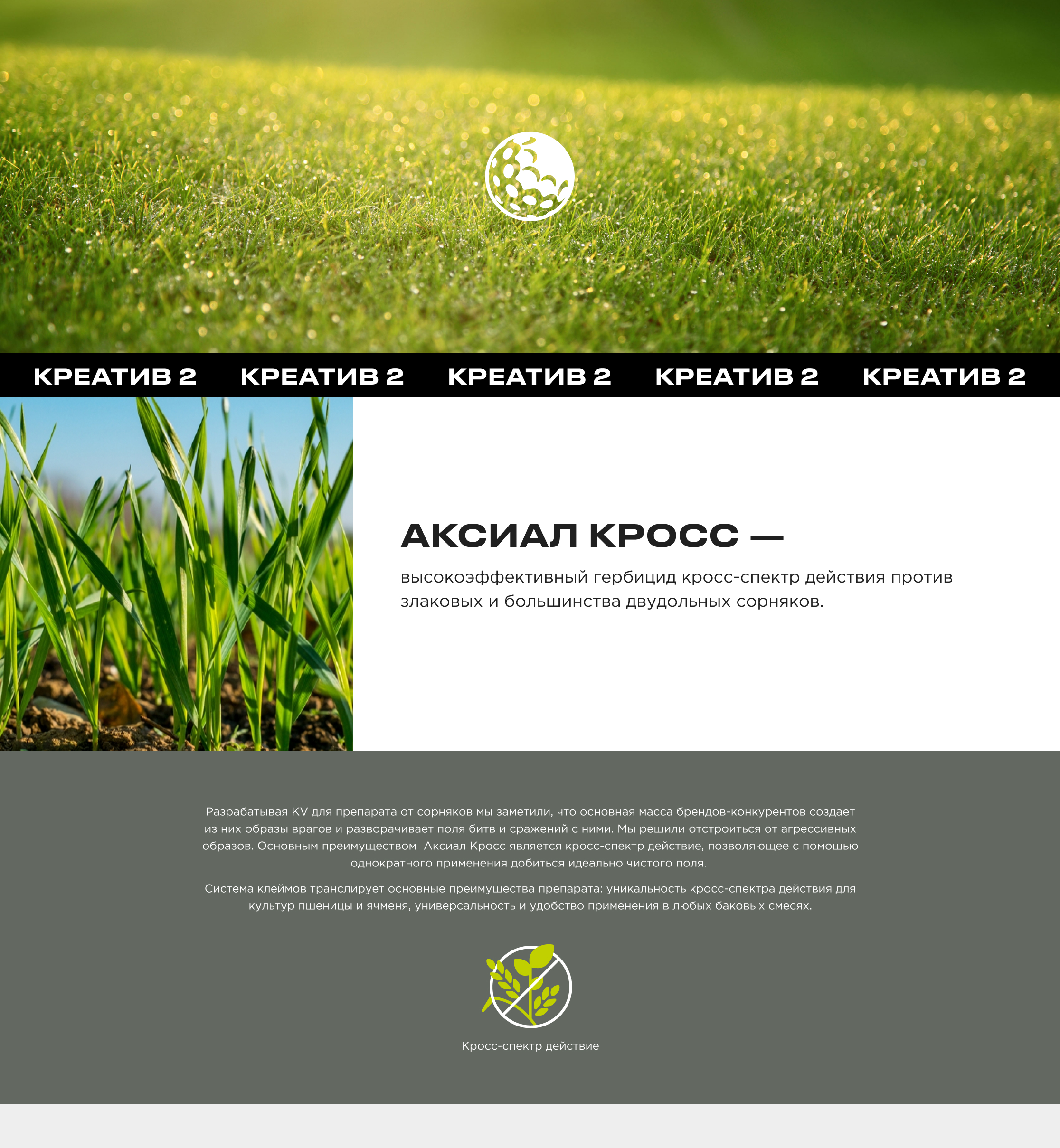 SYNGENTA — Изображение №4 — Графика, Маркетинг на Dprofile