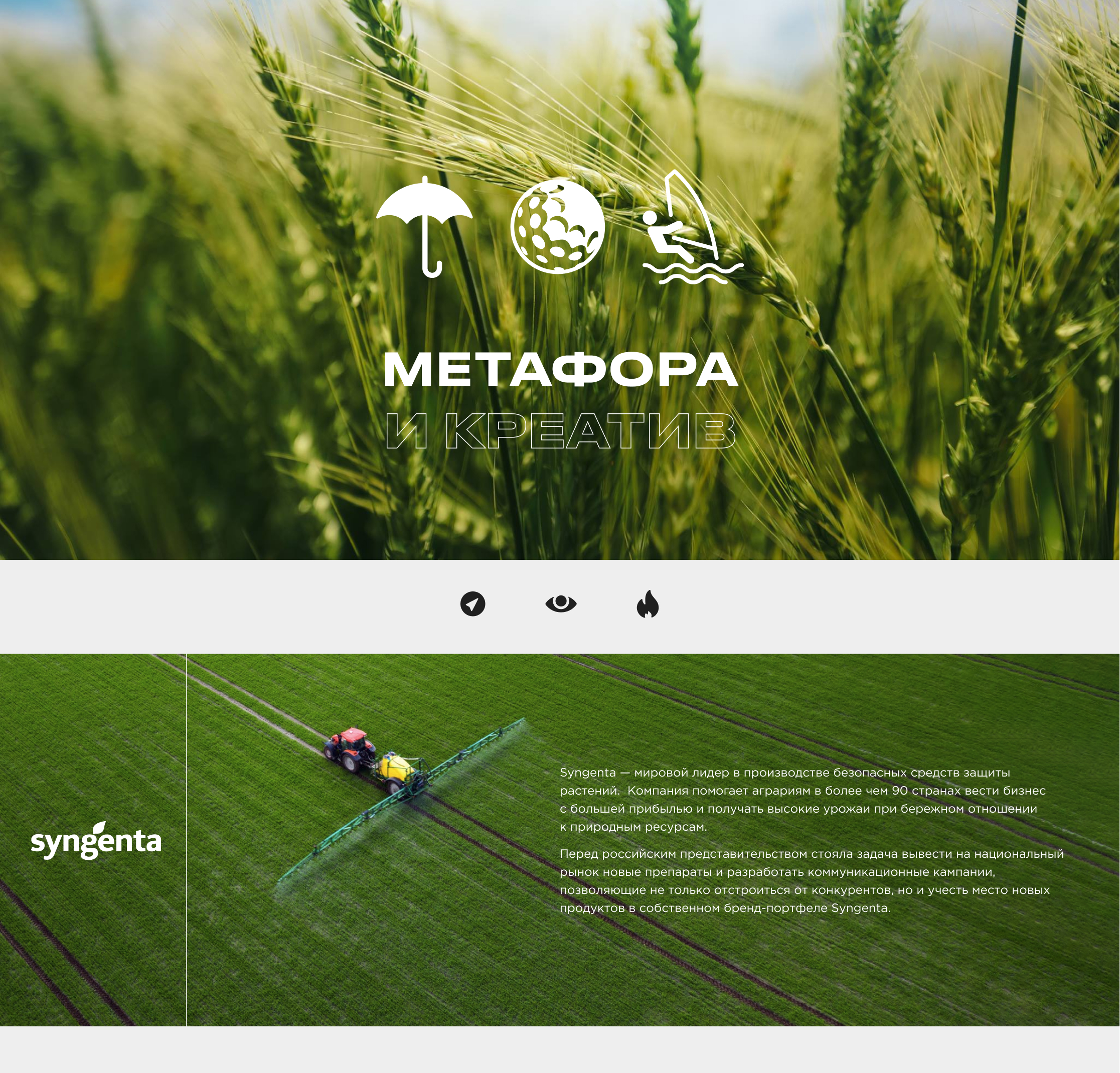 SYNGENTA — Изображение №1 — Графика, Маркетинг на Dprofile