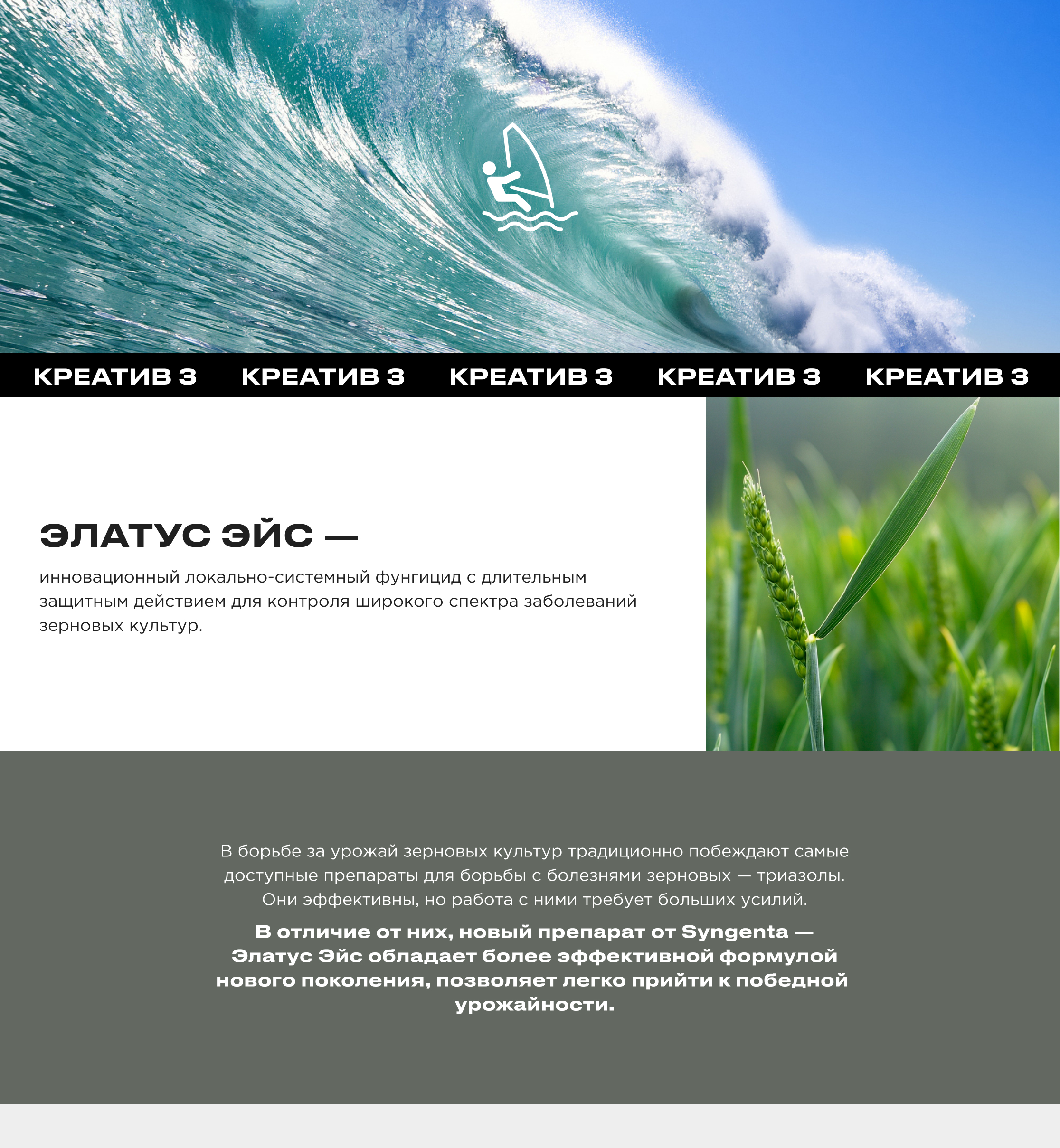 SYNGENTA — Изображение №6 — Графика, Маркетинг на Dprofile