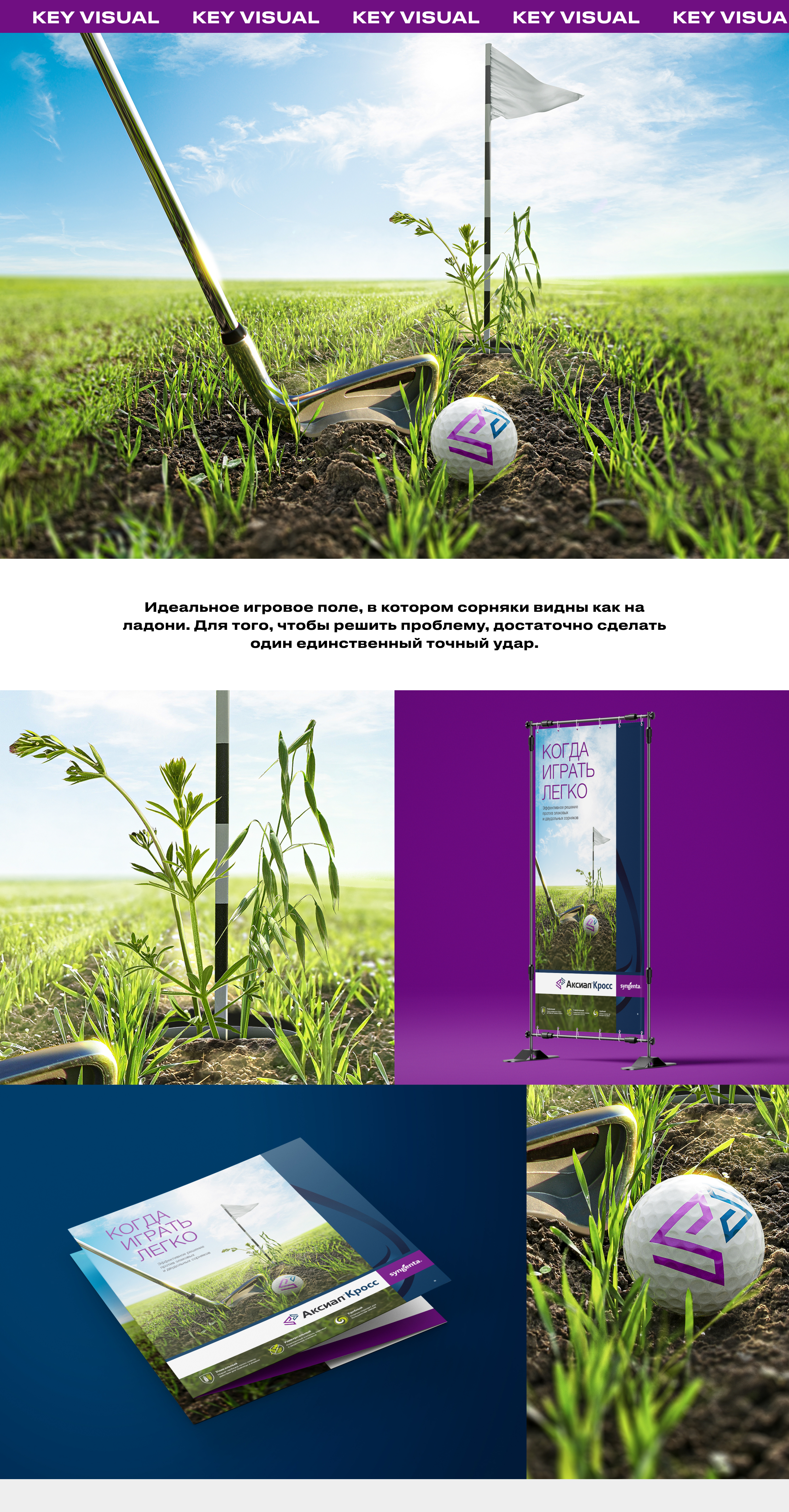 SYNGENTA — Изображение №5 — Графика, Маркетинг на Dprofile