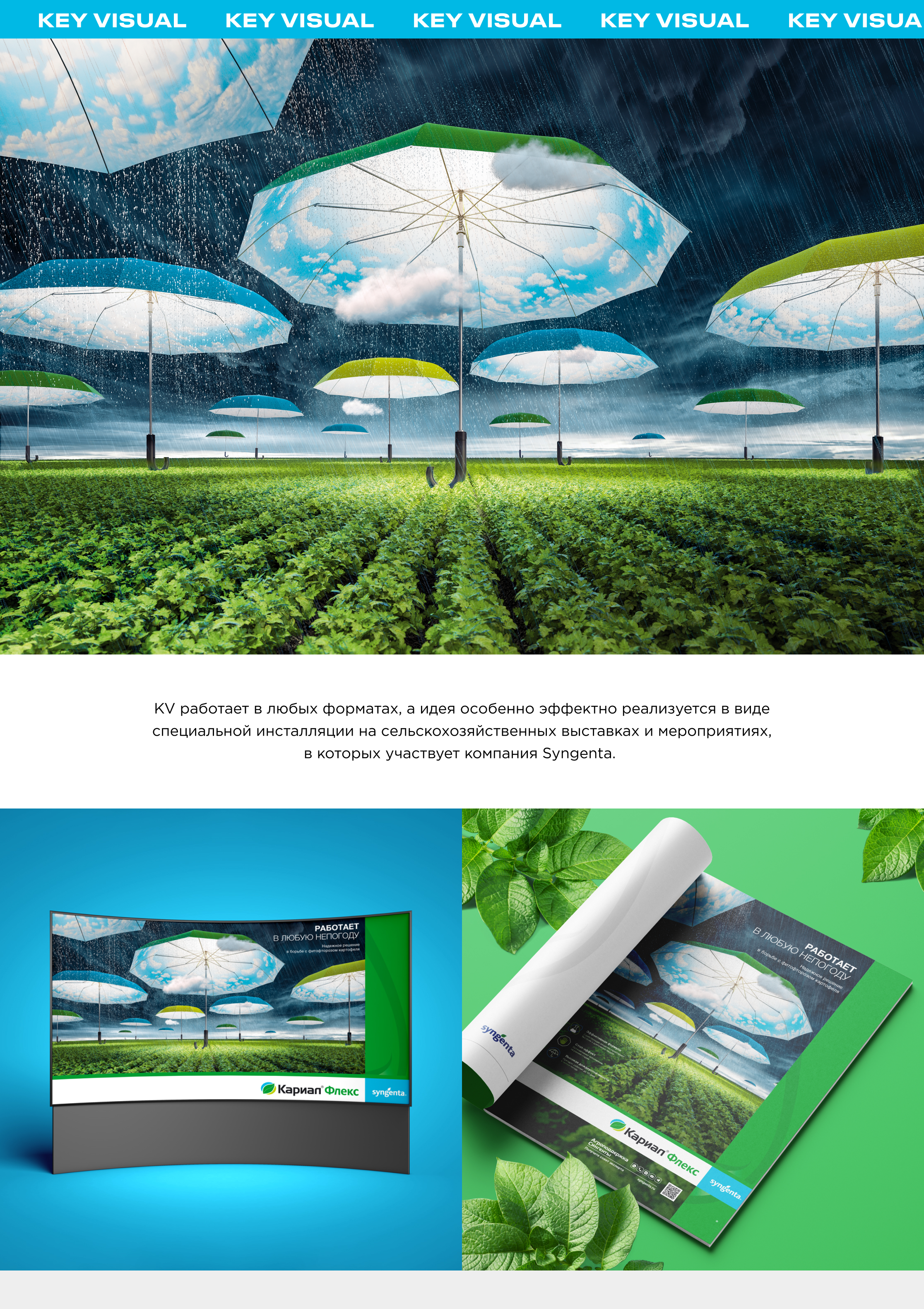 SYNGENTA — Изображение №3 — Графика, Маркетинг на Dprofile