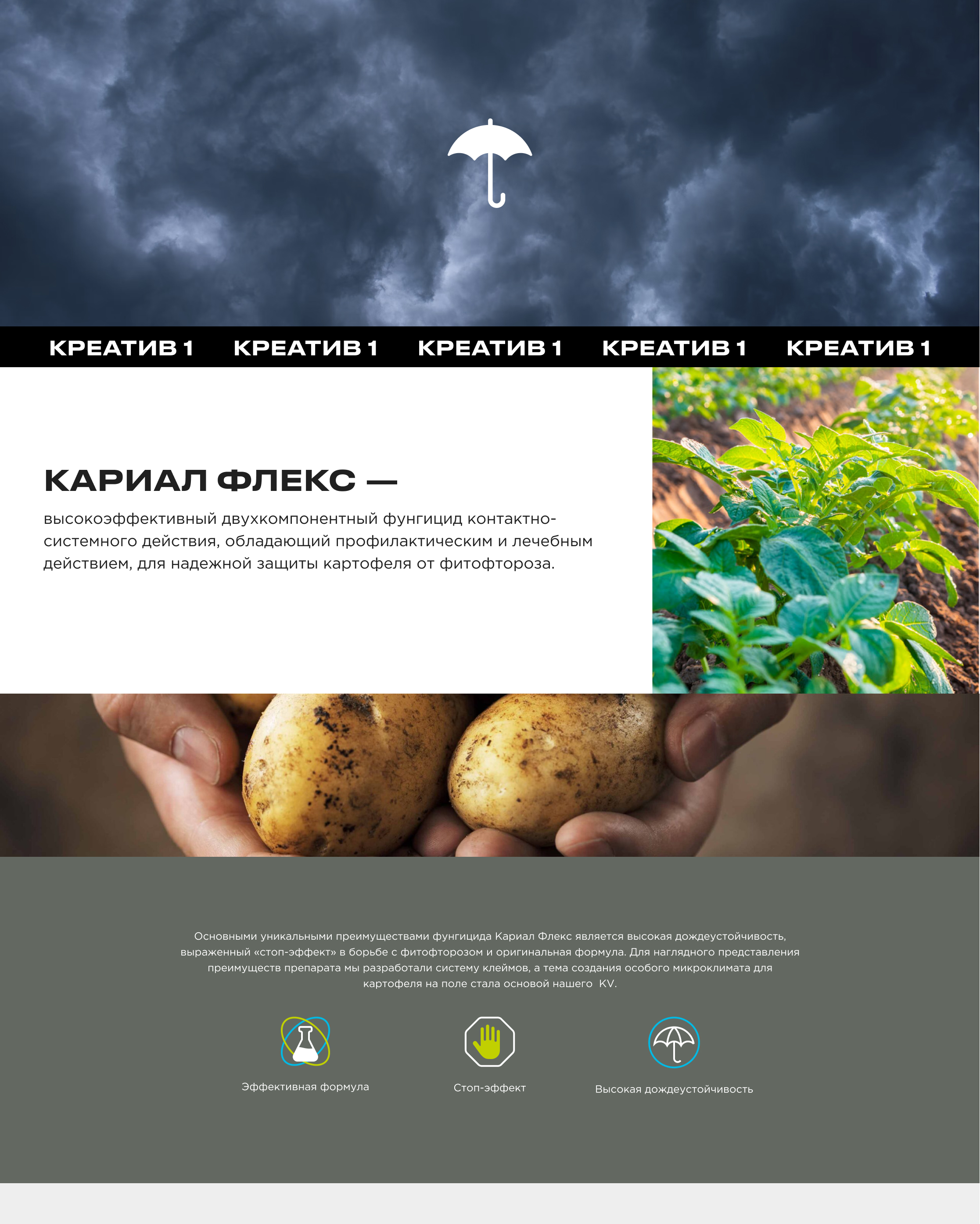 SYNGENTA — Изображение №2 — Графика, Маркетинг на Dprofile