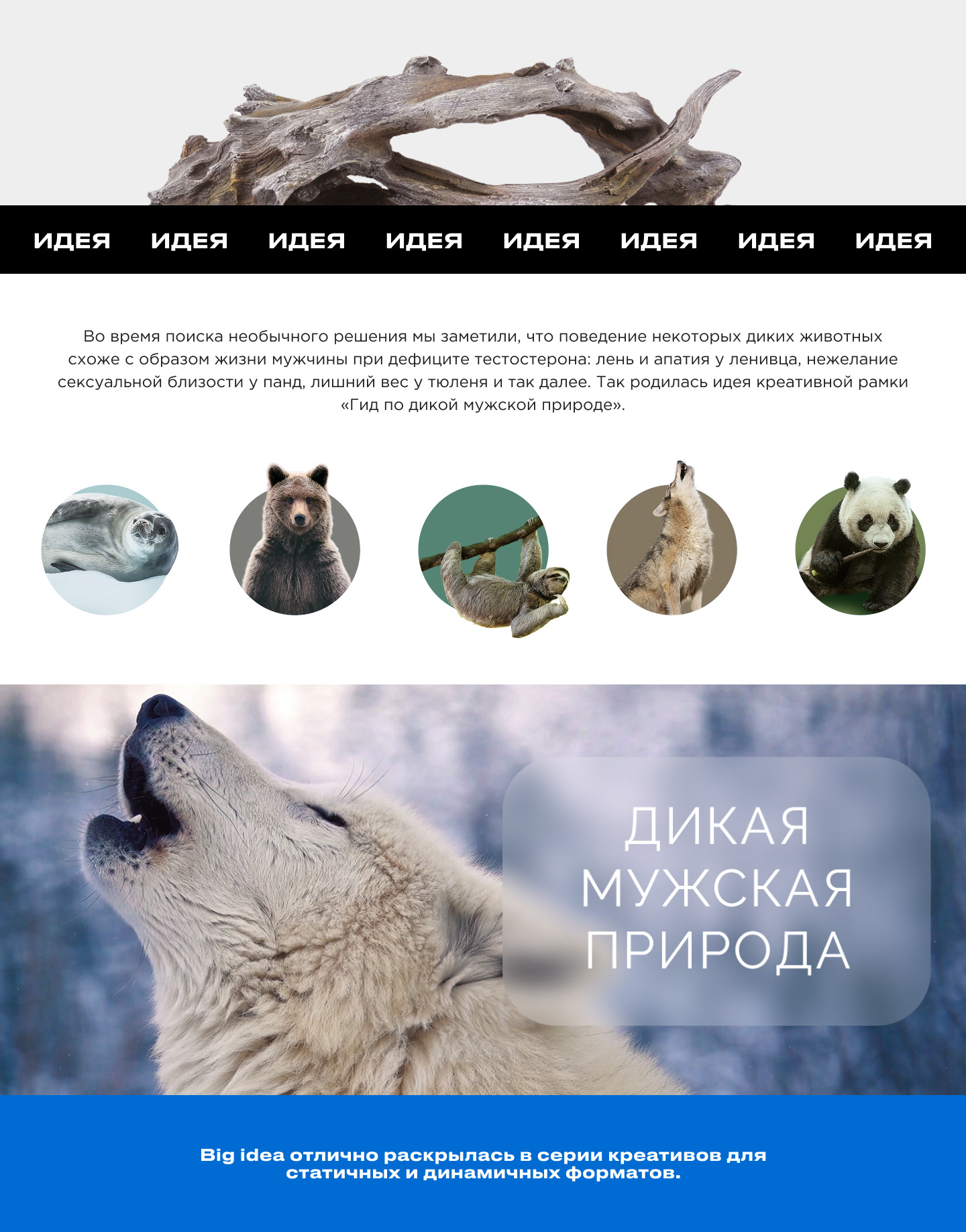 BESINS HEALTHCARE — Изображение №2 — Иллюстрация, Маркетинг на Dprofile