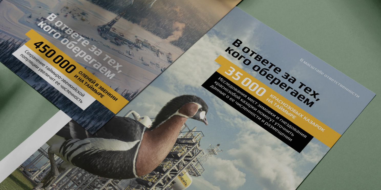 РОСНЕФТЬ — Изображение №18 — Иллюстрация, Маркетинг на Dprofile