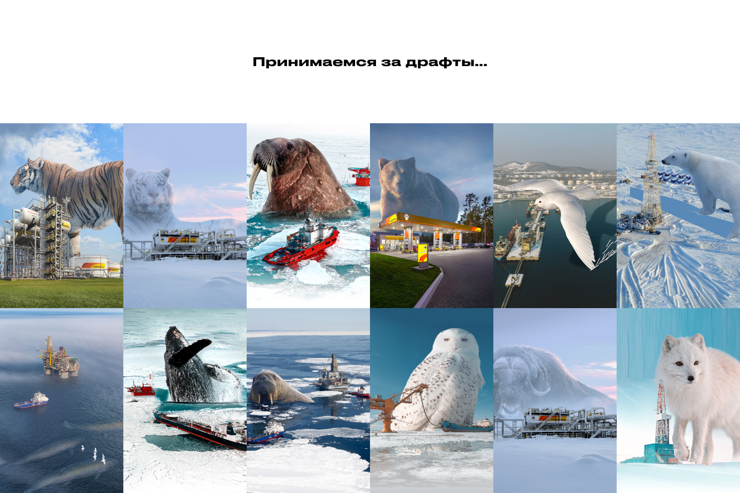 РОСНЕФТЬ — Изображение №4 — Иллюстрация, Маркетинг на Dprofile