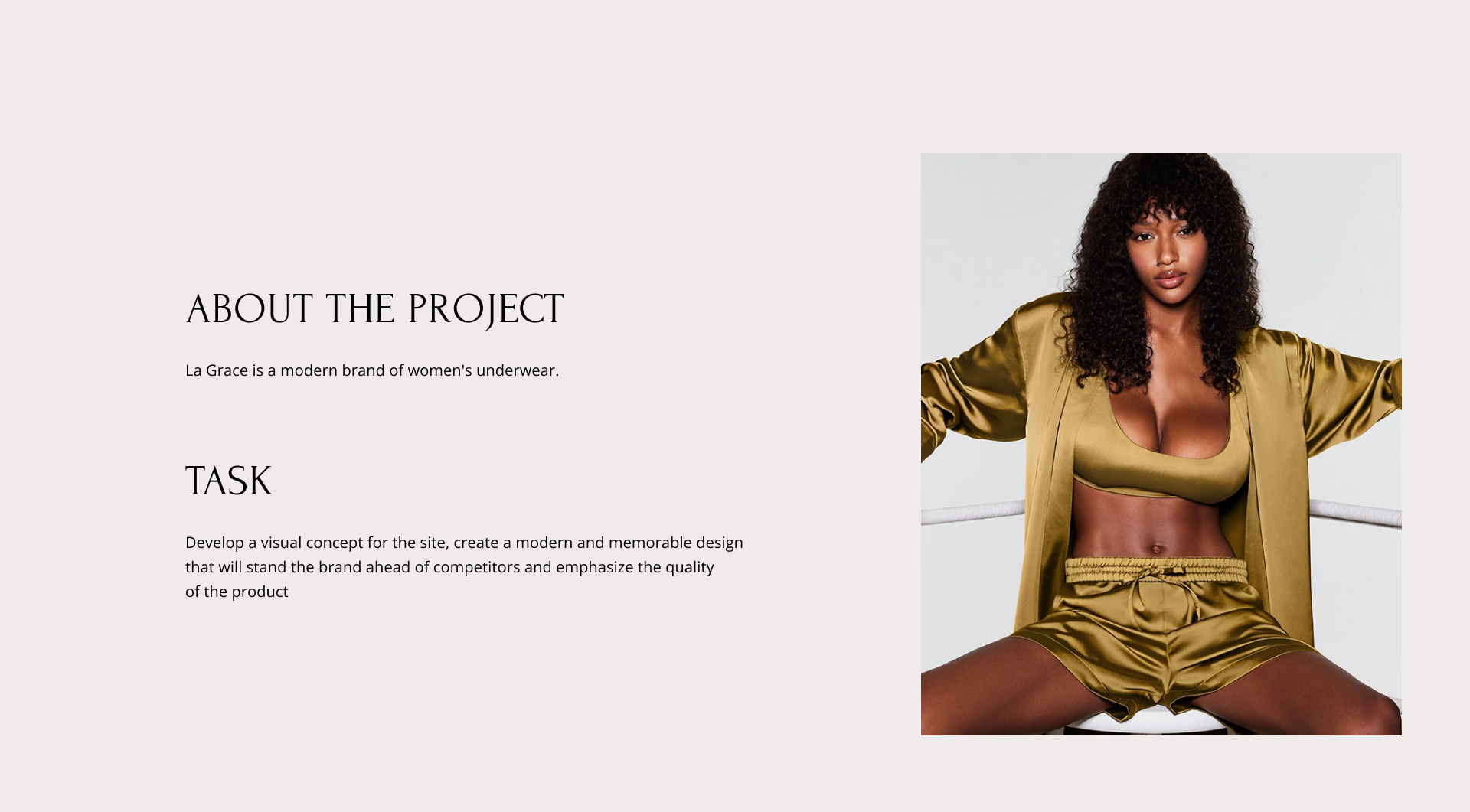 Lingerie store "La grace" — Изображение №2 — Интерфейсы, Брендинг на Dprofile