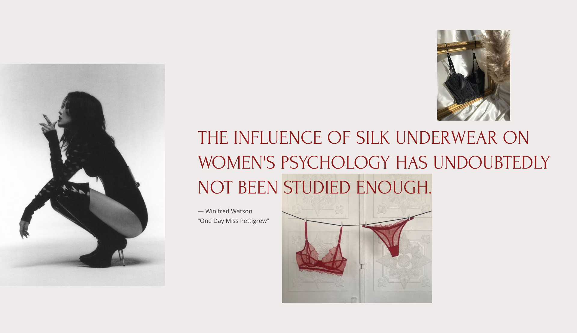 Lingerie store "La grace" — Изображение №7 — Интерфейсы, Брендинг на Dprofile